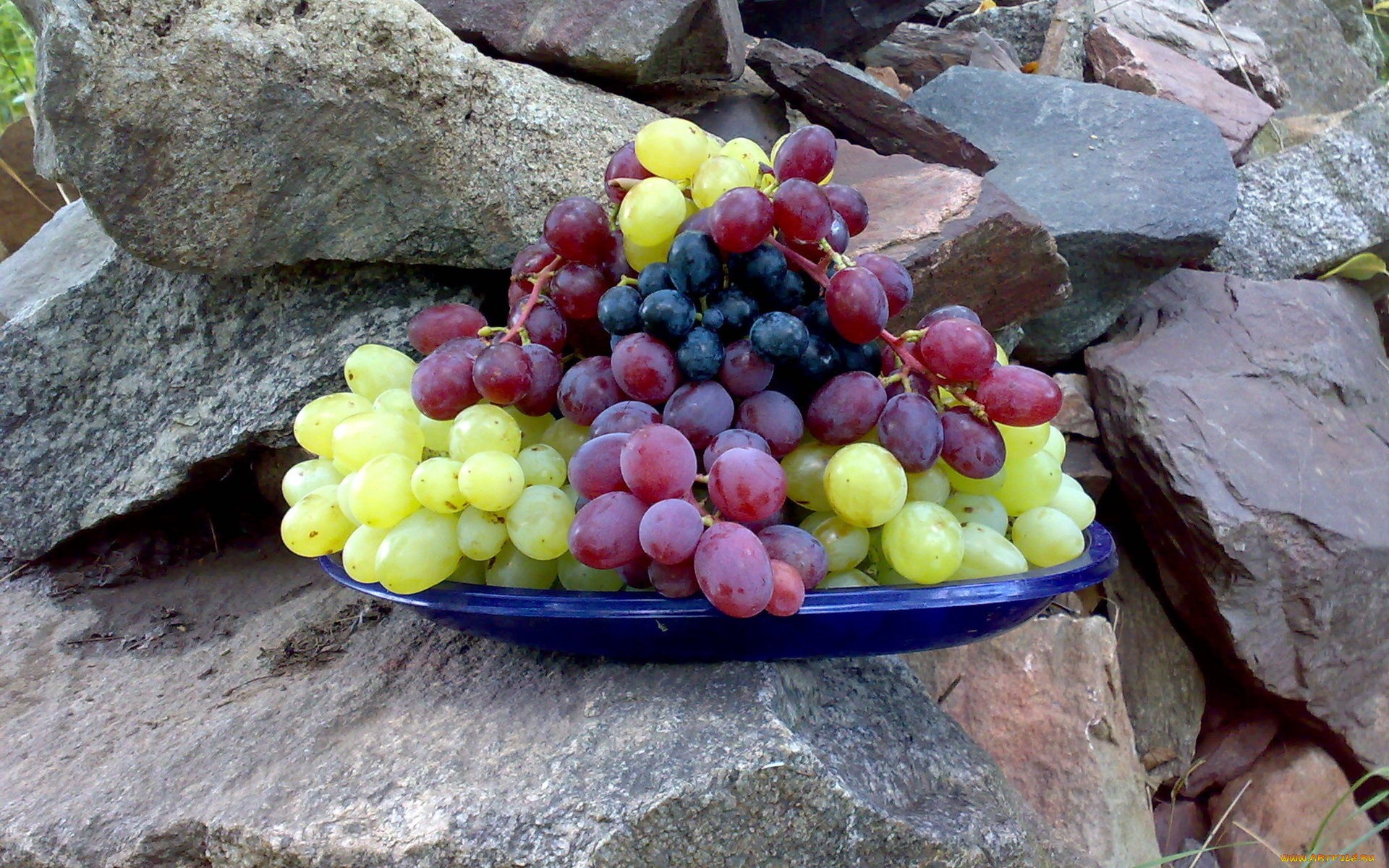 Free download wallpaper Fruits, Food, Grapes on your PC desktop