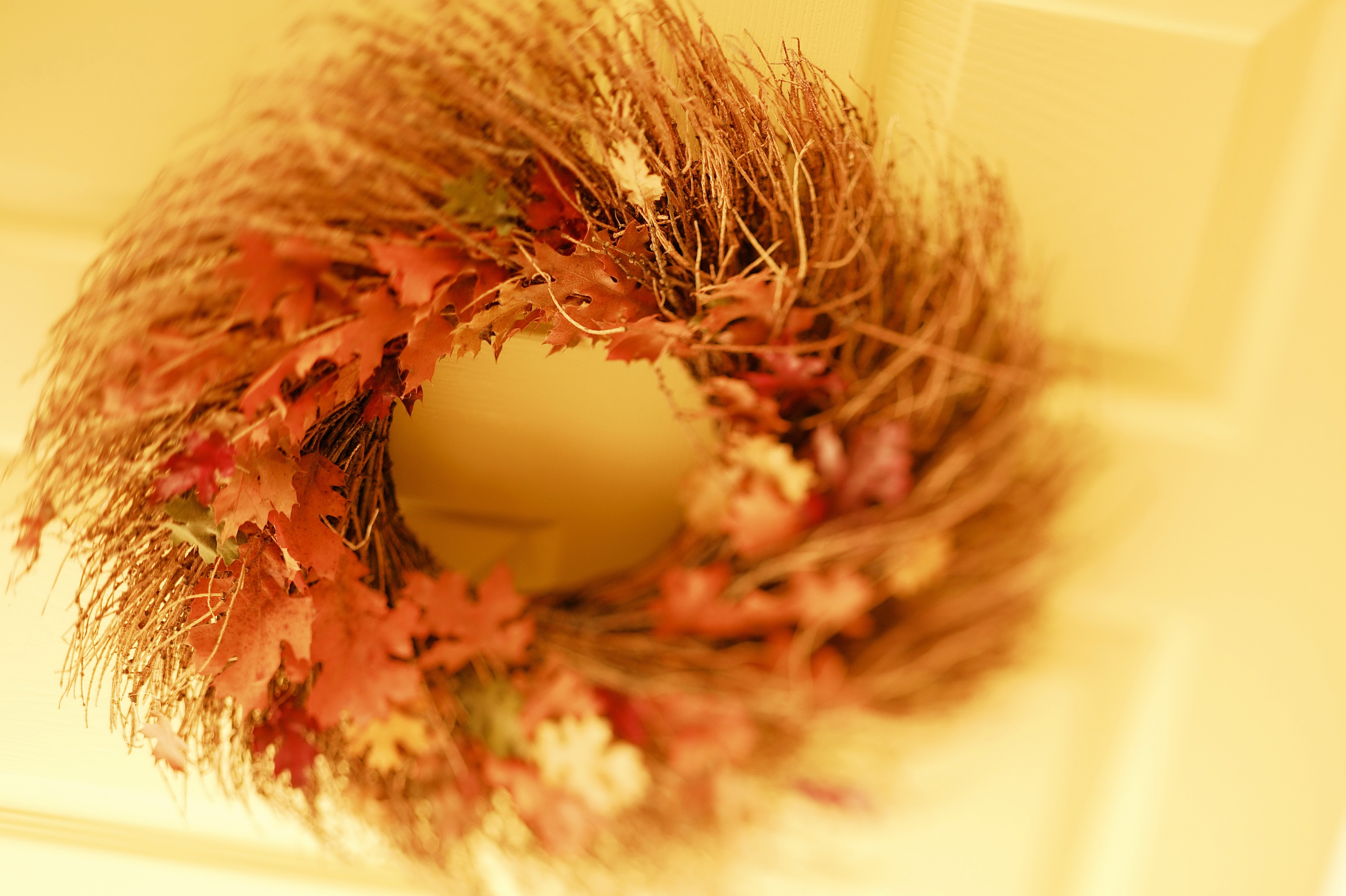 Free download wallpaper Leaves, Miscellanea, Miscellaneous, Wreath, Autumn on your PC desktop