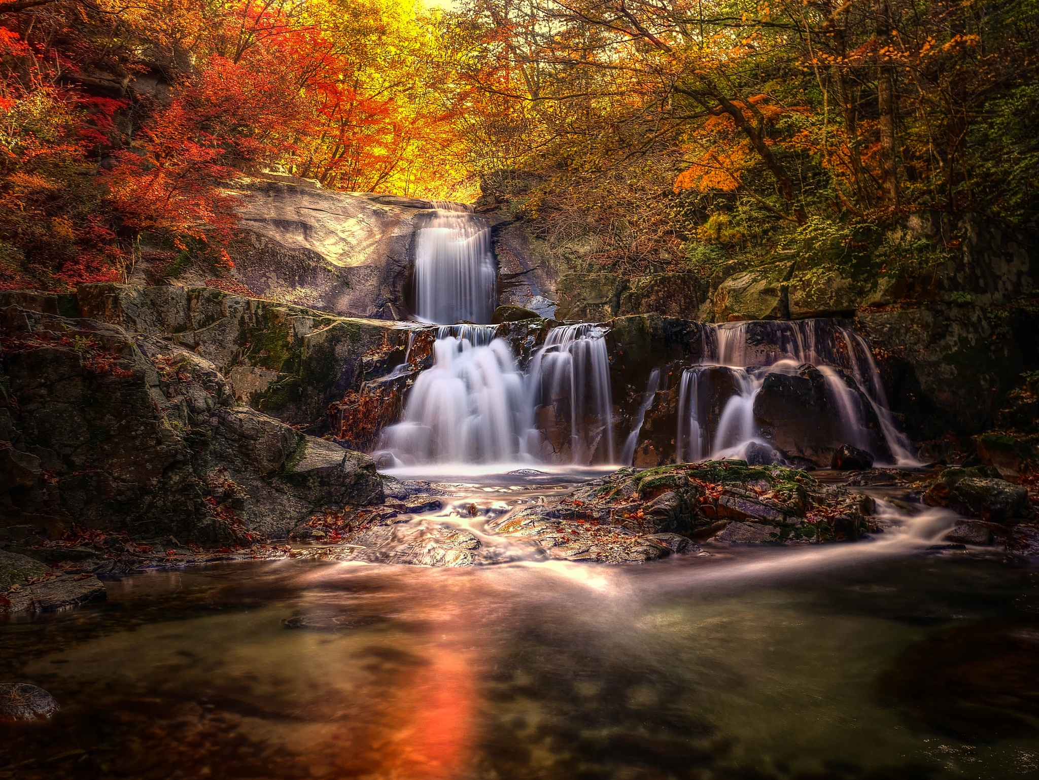 Baixe gratuitamente a imagem Outono, Cachoeiras, Floresta, Árvore, Terra/natureza, Cachoeira na área de trabalho do seu PC