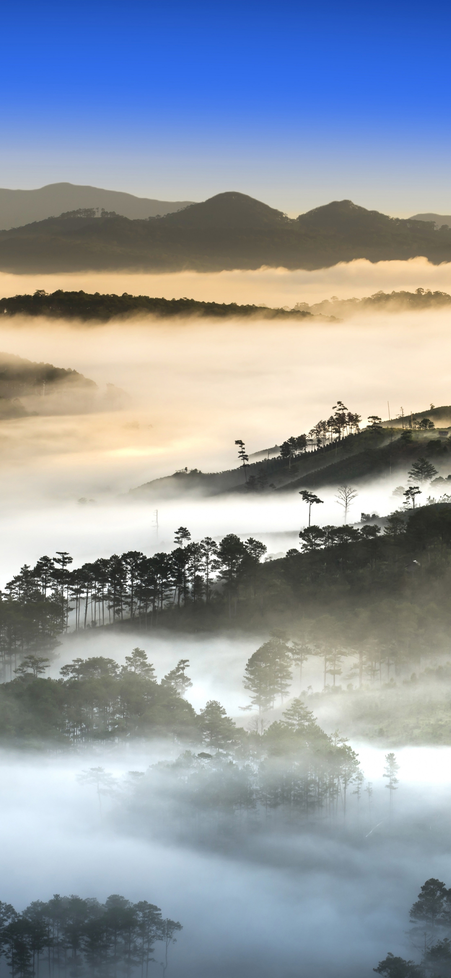 Descarga gratuita de fondo de pantalla para móvil de Paisaje, Naturaleza, Niebla, Tierra/naturaleza.