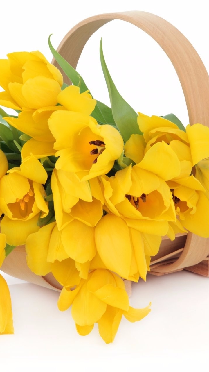 Download mobile wallpaper Still Life, Flower, Basket, Tulip, Photography, Yellow Flower for free.