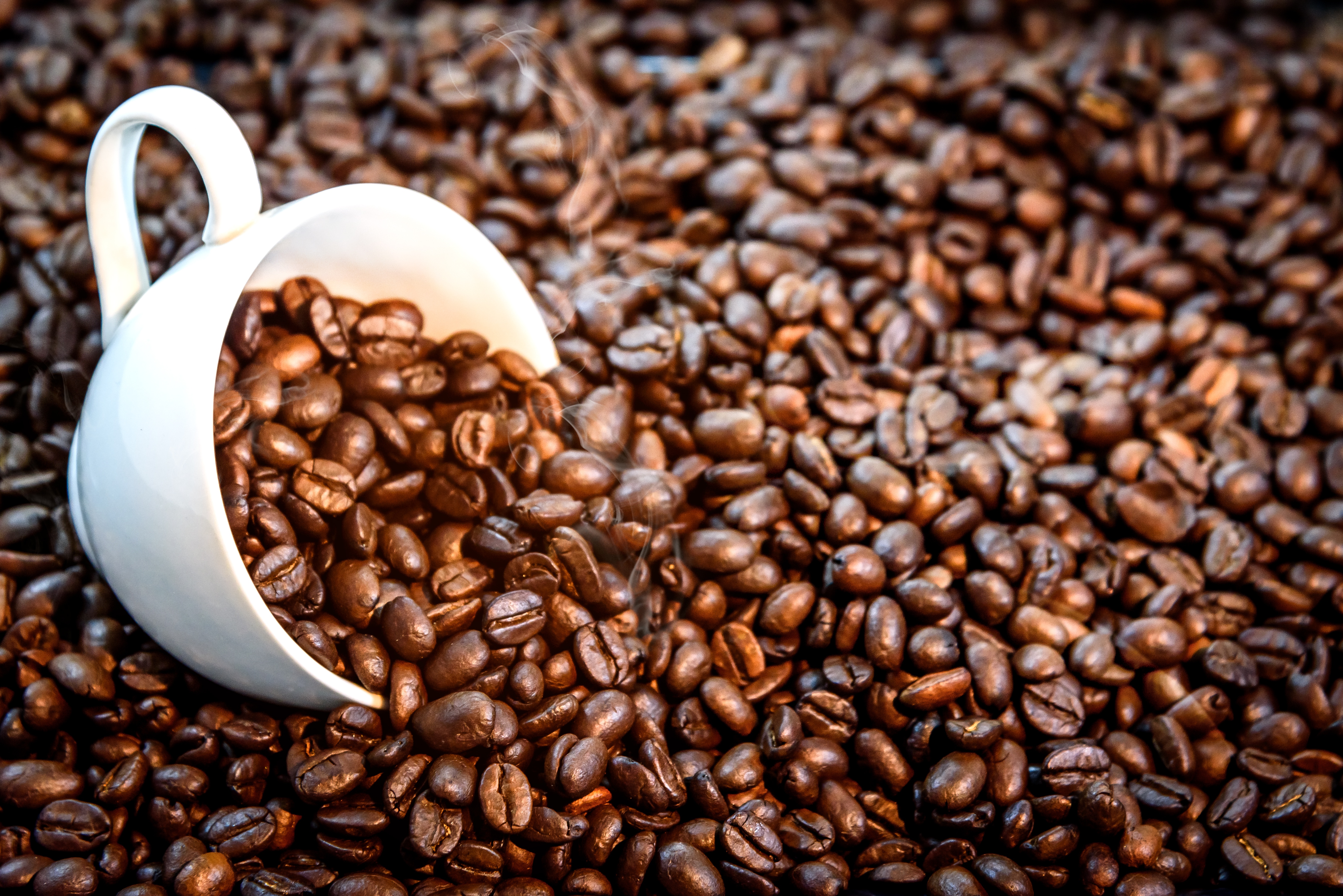 Free download wallpaper Food, Coffee, Cup, Coffee Beans on your PC desktop