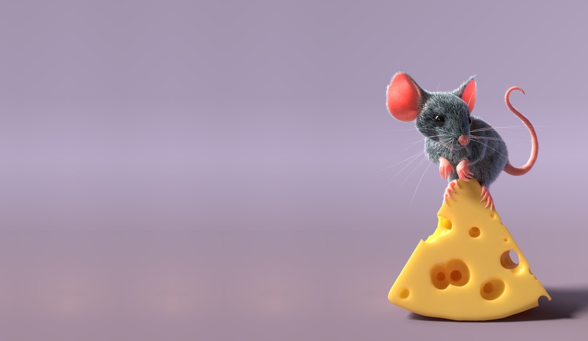 Laden Sie das Tiere, Maus, Nagetier, Käse-Bild kostenlos auf Ihren PC-Desktop herunter