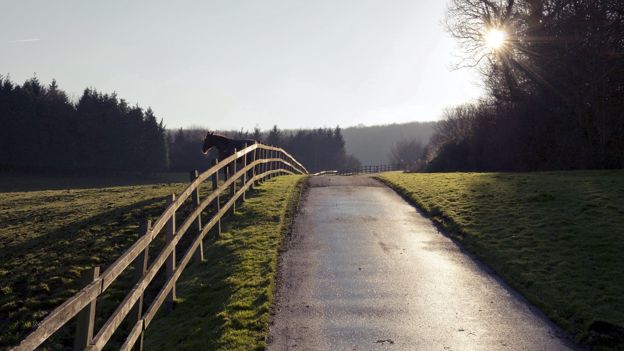 Free download wallpaper Nature, Road, Fence, Horse on your PC desktop
