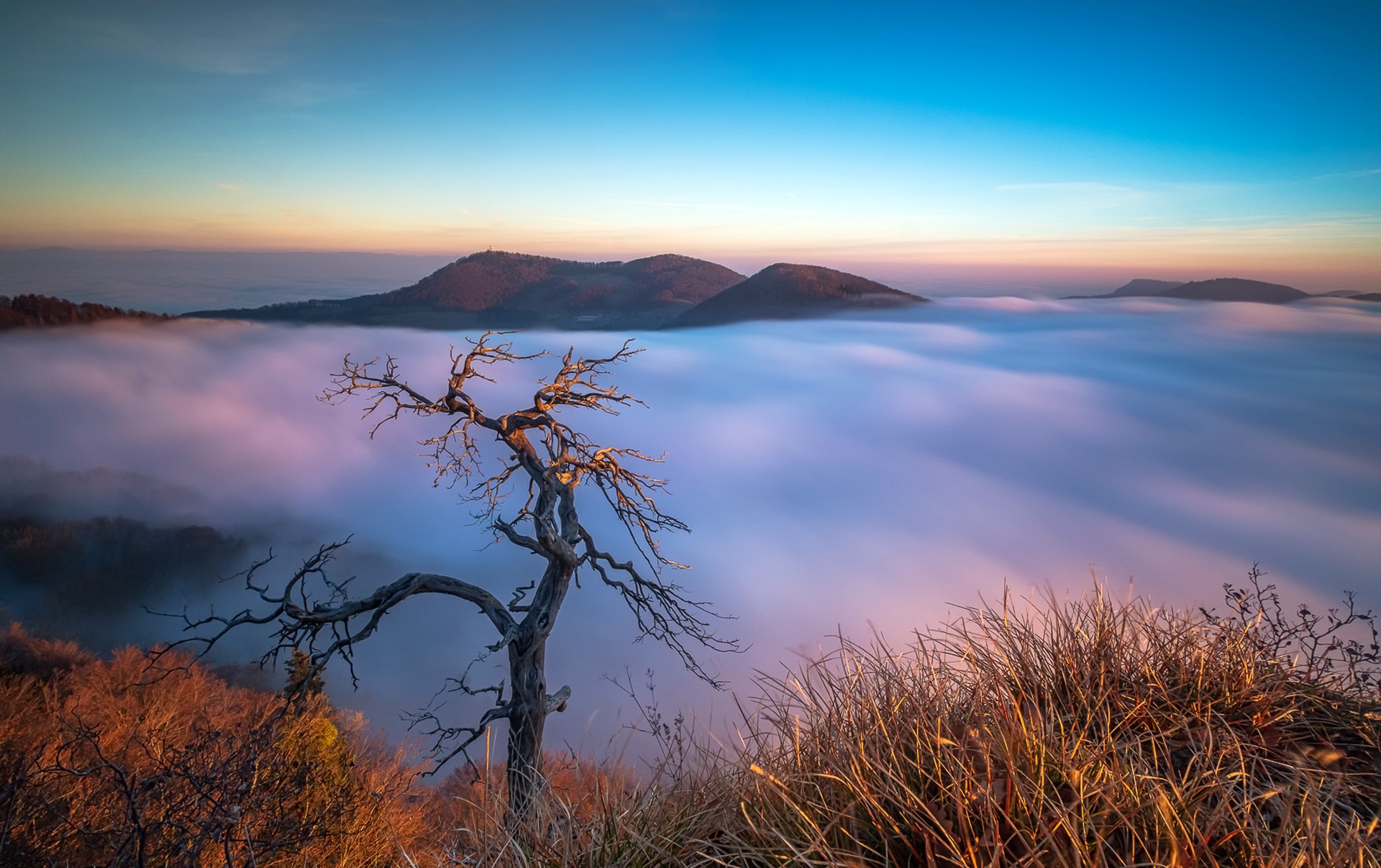 Descarga gratis la imagen Naturaleza, Horizonte, Montaña, Niebla, Panorama, Pintoresco, Tierra/naturaleza, Árbol Torcido en el escritorio de tu PC