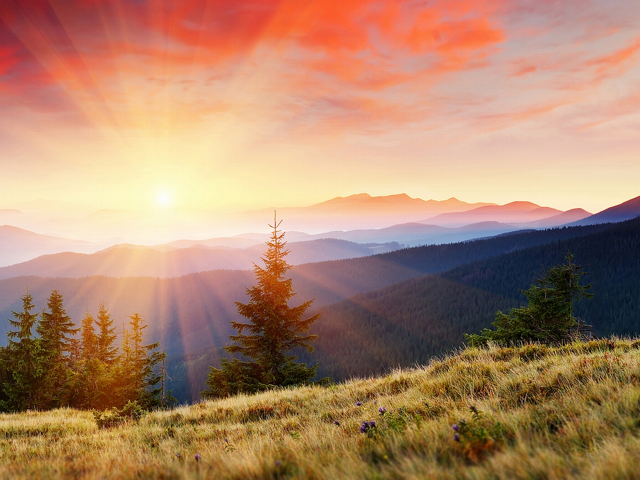 Baixe gratuitamente a imagem Terra/natureza, Pôr Do Sol na área de trabalho do seu PC