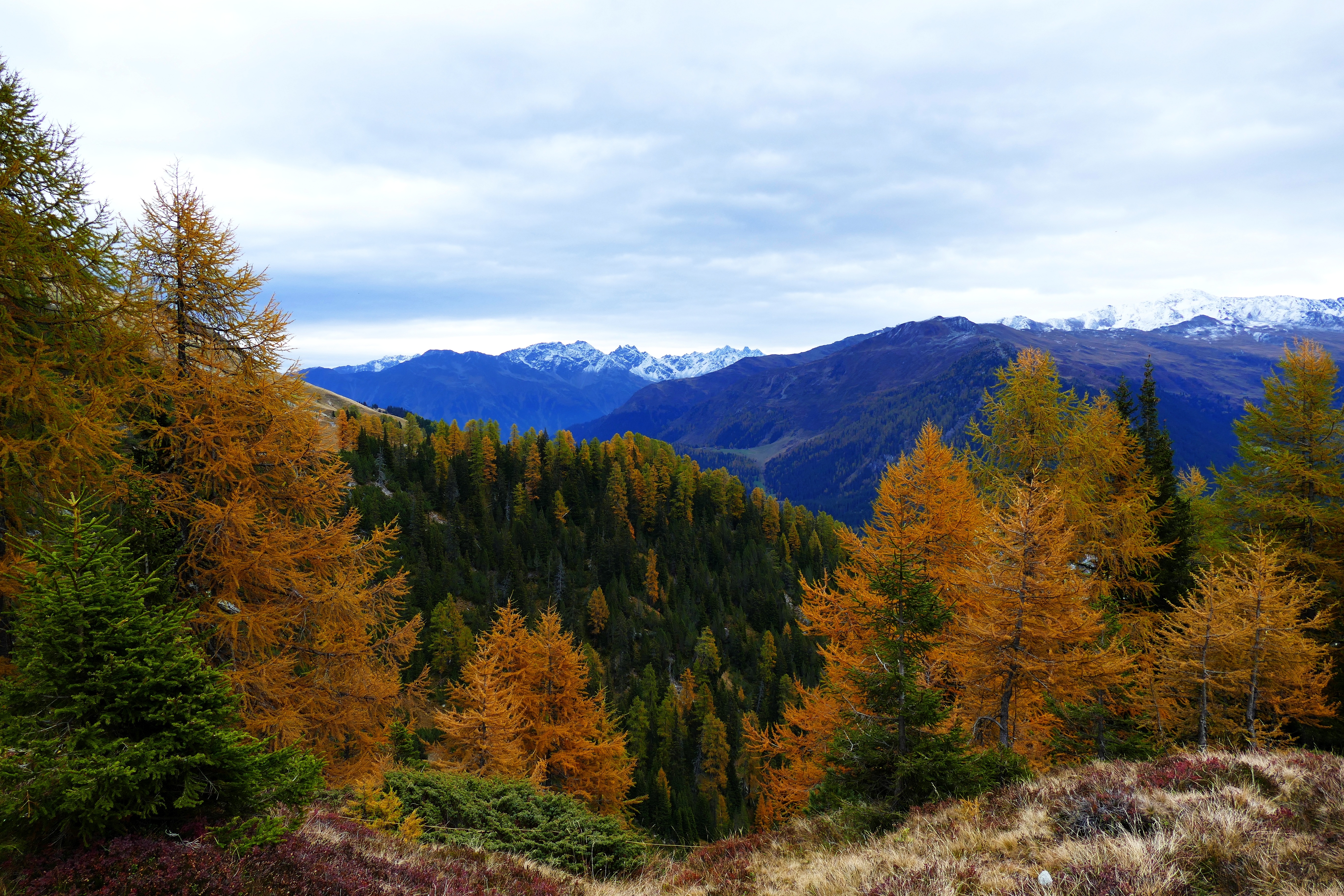 Handy-Wallpaper Natur, Bäume, Mountains, Wald, Herbst kostenlos herunterladen.