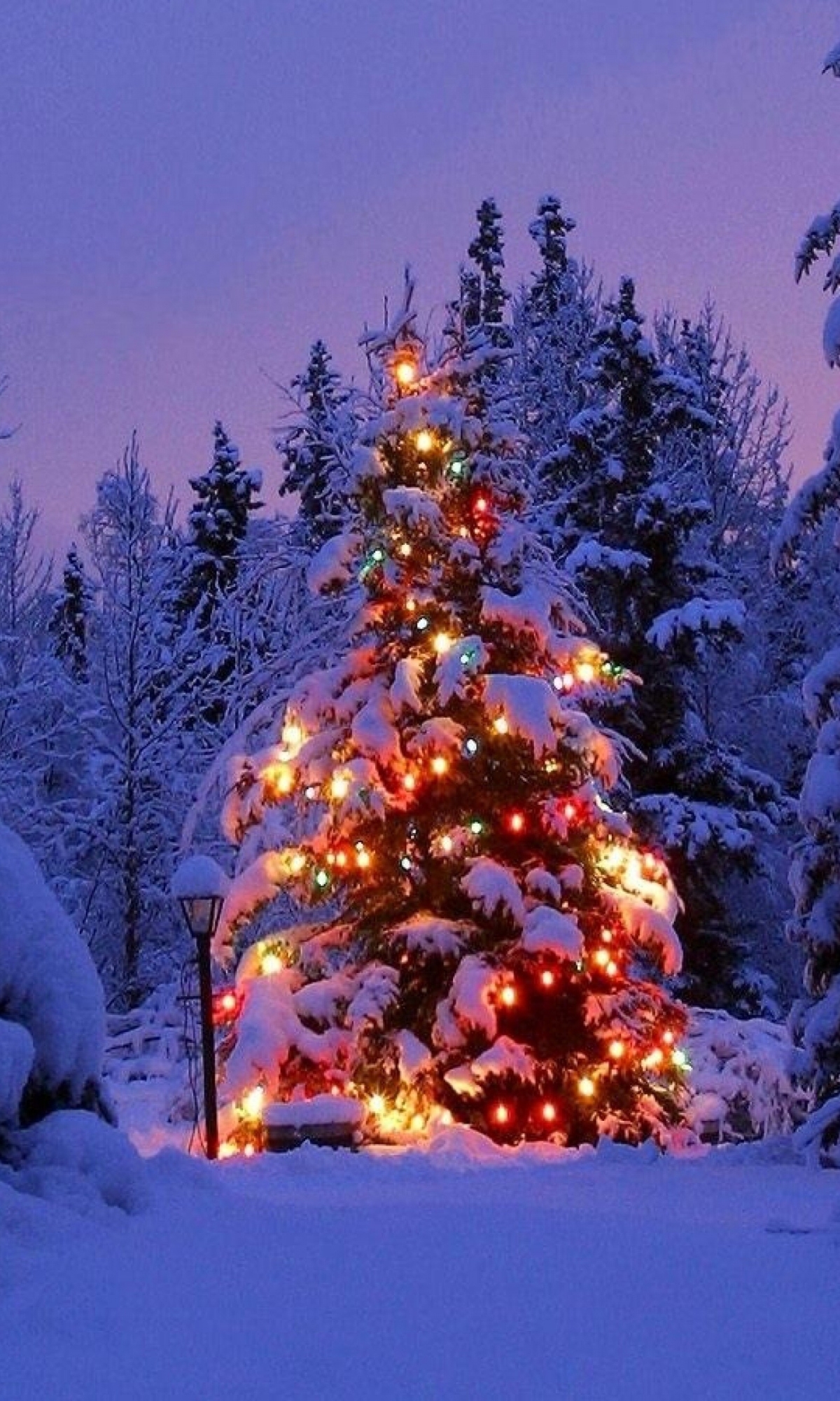 Download mobile wallpaper Christmas, Holiday, Evening, Christmas Tree, Christmas Lights for free.