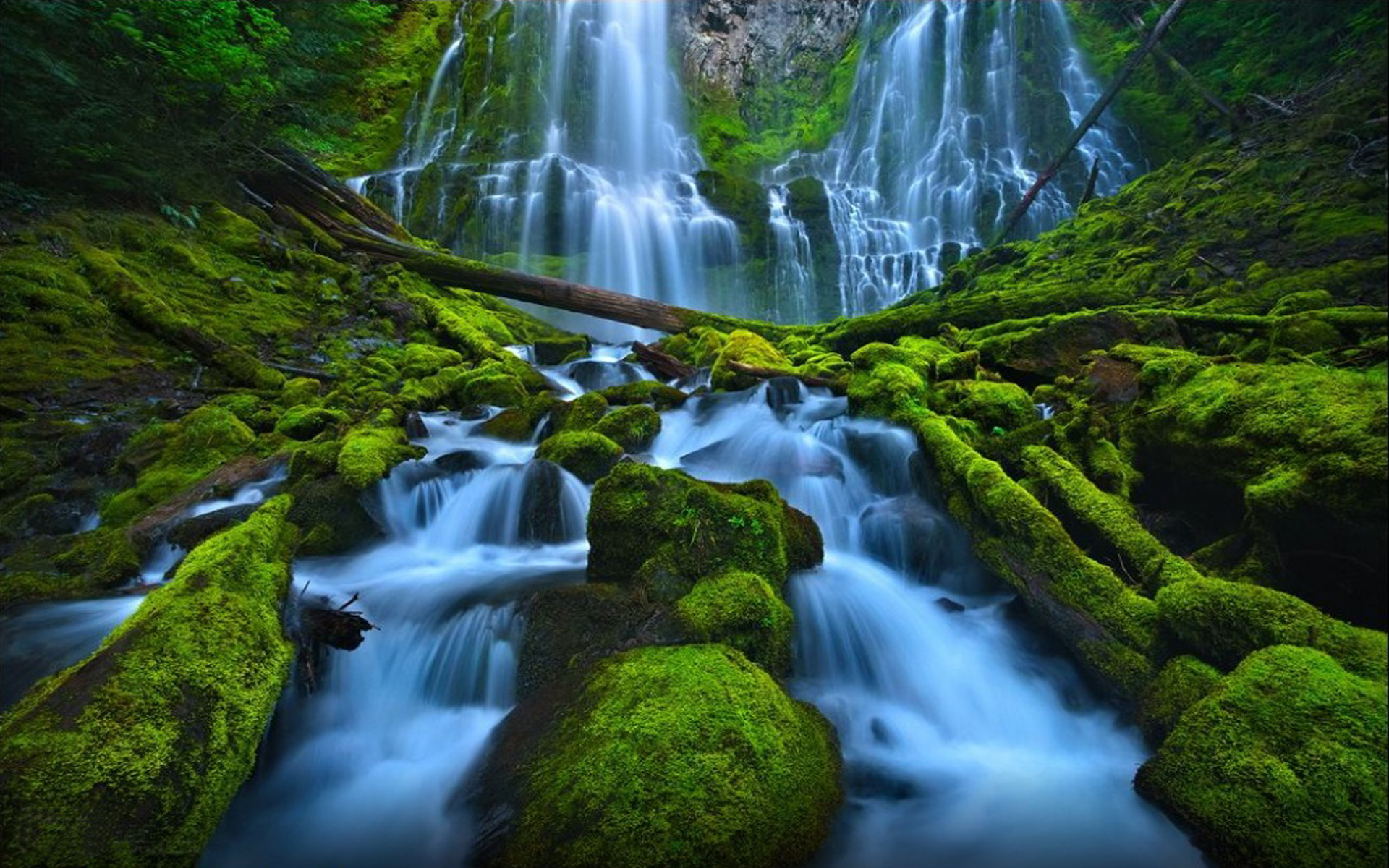 Free download wallpaper Waterfall, Forest, Tree, Earth, Moss, Log on your PC desktop