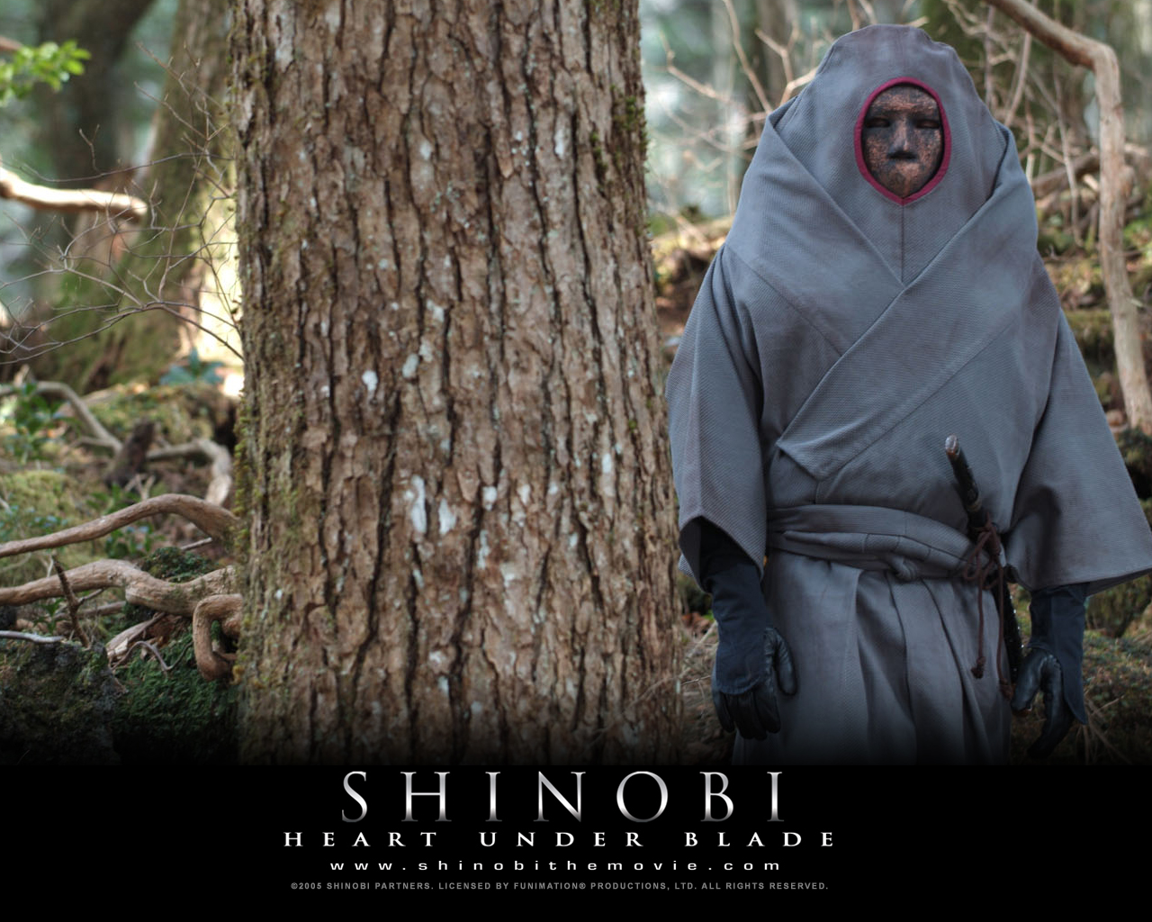 movie, shinobi: heart under blade