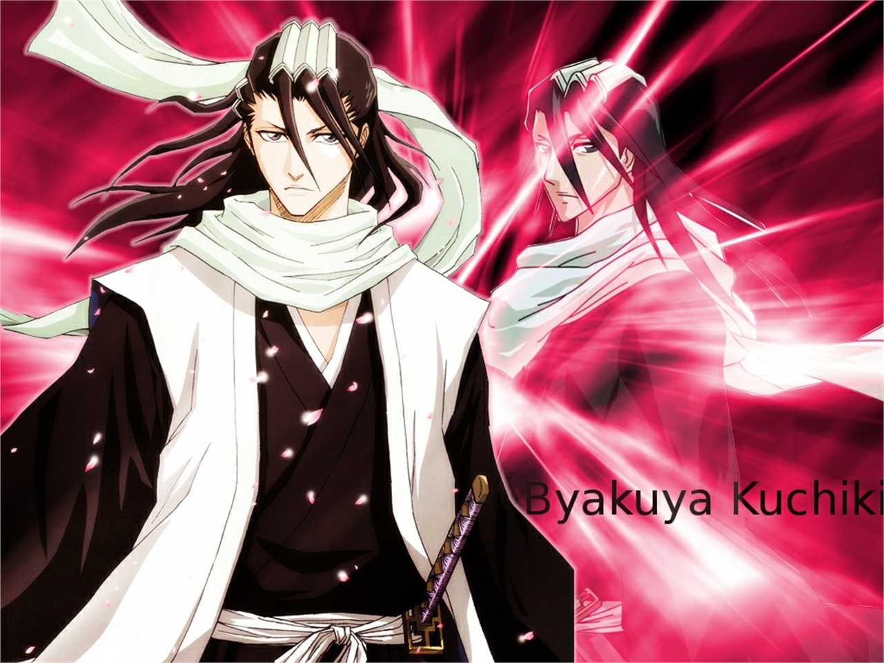 Laden Sie das Bleach, Animes, Byakuya Kuchiki-Bild kostenlos auf Ihren PC-Desktop herunter