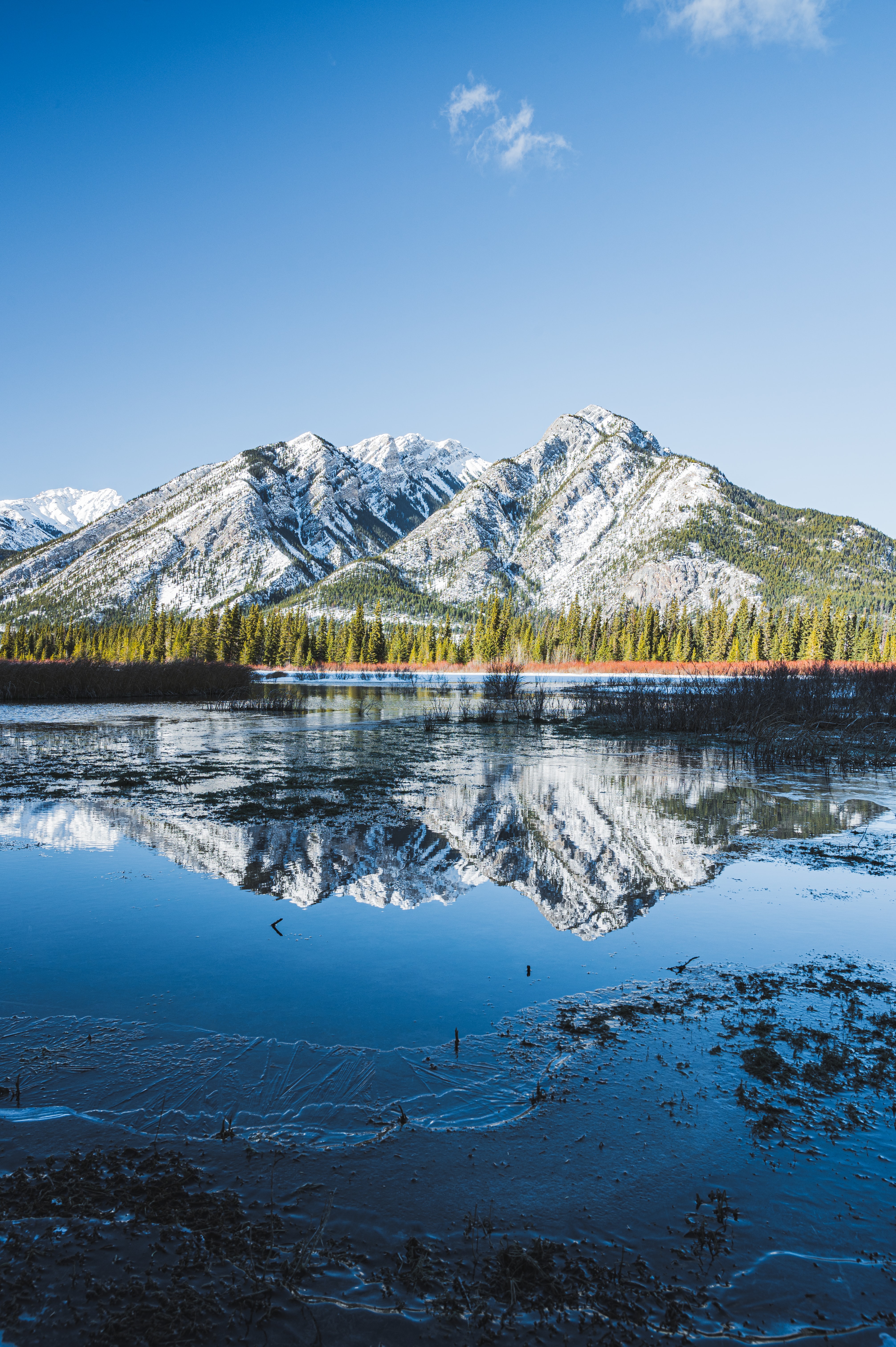 無料モバイル壁紙自然, 木, 湖, 山脈, 反射, 風景をダウンロードします。