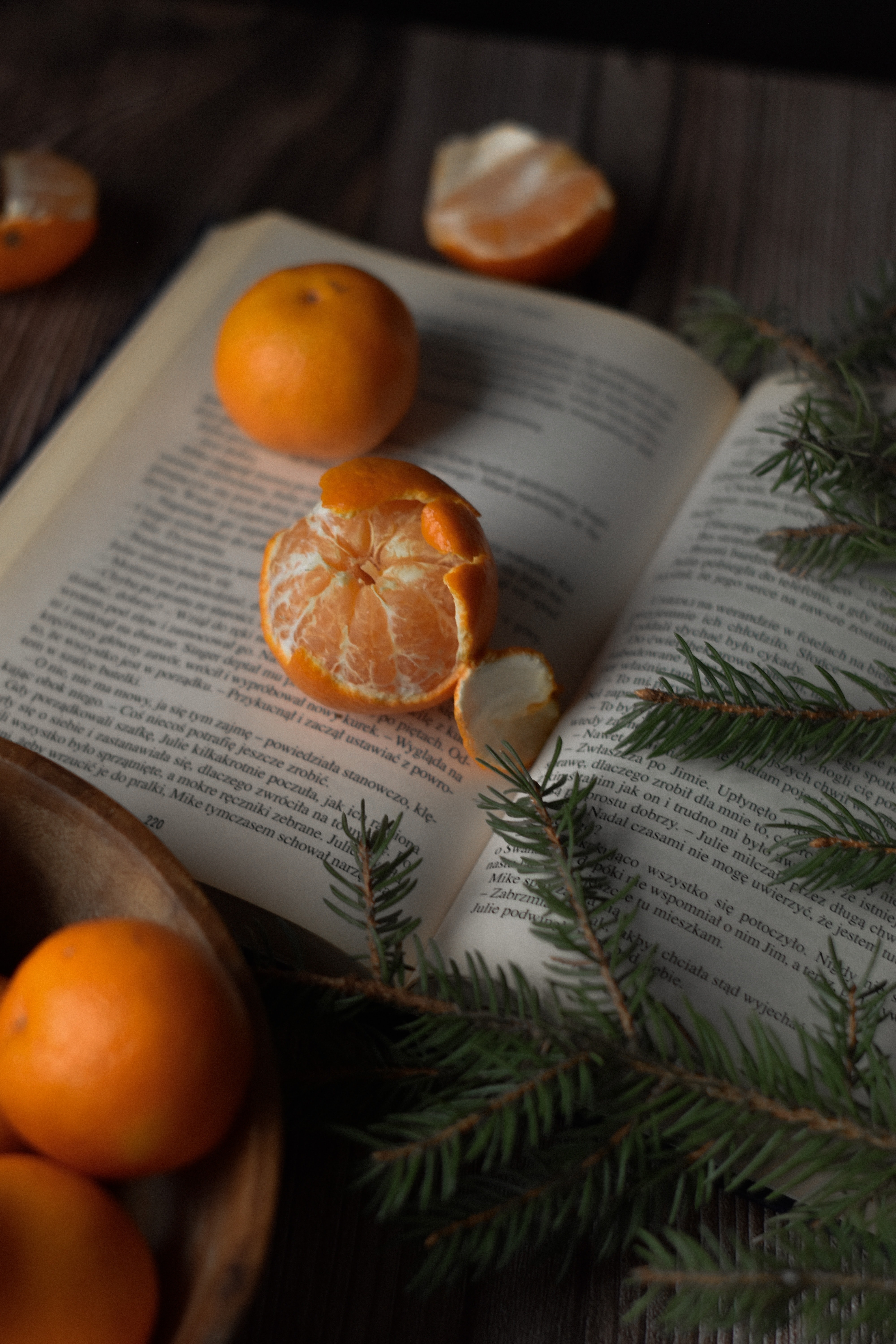 Mobile wallpaper branches, book, food, tangerines, spruce, fir, fruit, citrus