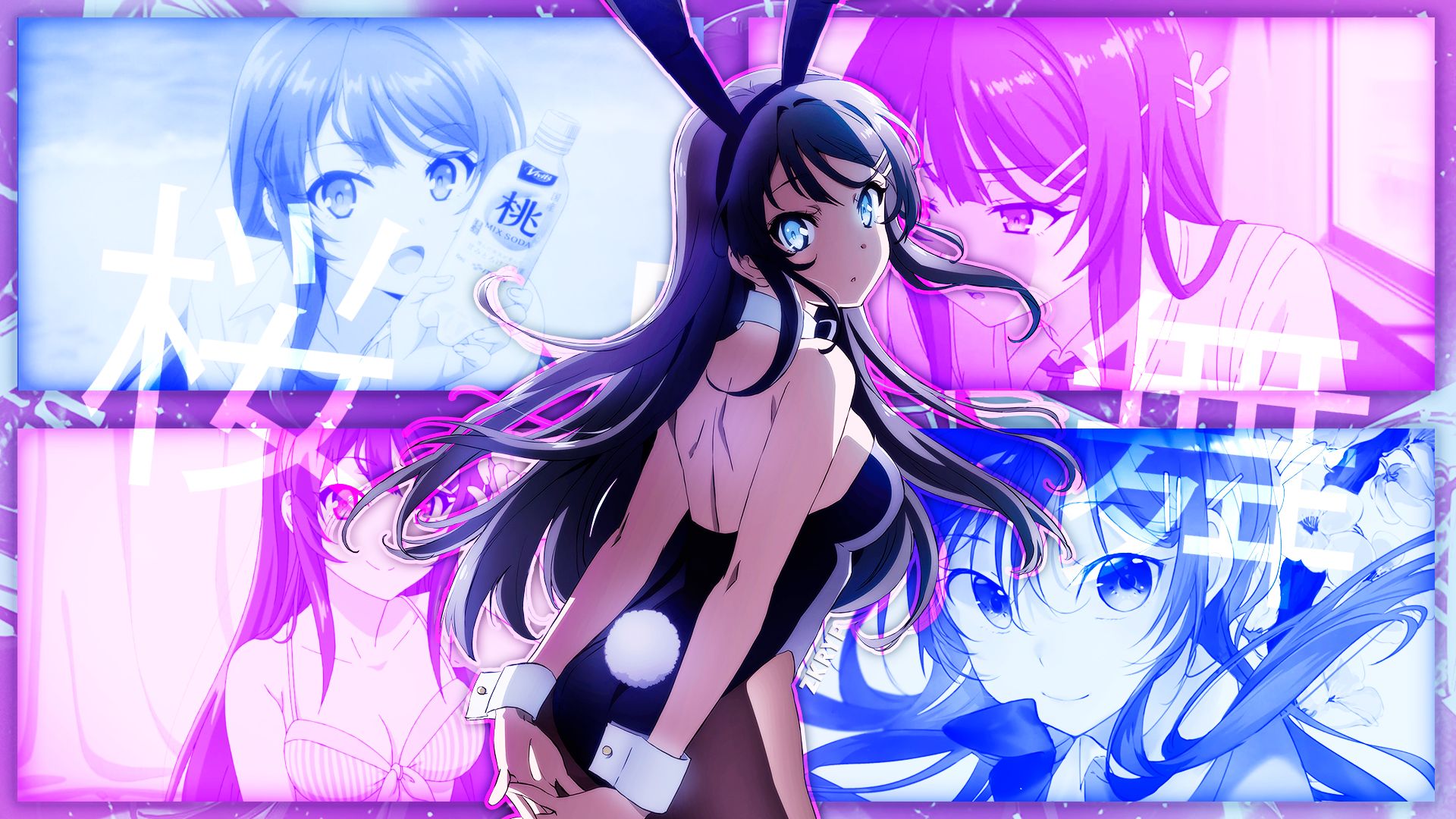 1012228 Hintergrundbild herunterladen animes, rascal does not dream of bunny girl senpai, hasenohren, mai sakurajima - Bildschirmschoner und Bilder kostenlos