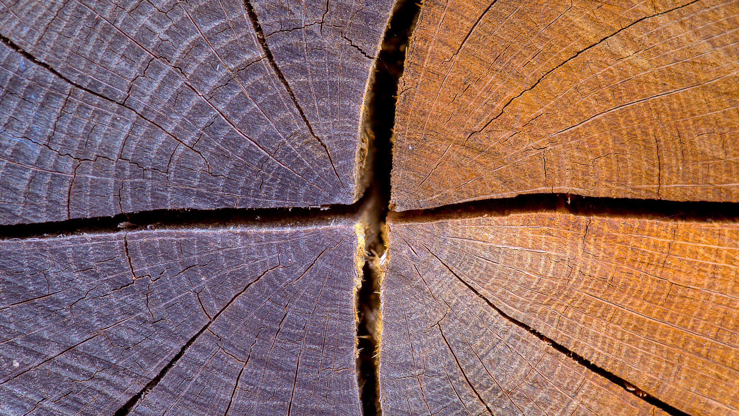 Handy-Wallpaper Holz, Erde/natur kostenlos herunterladen.