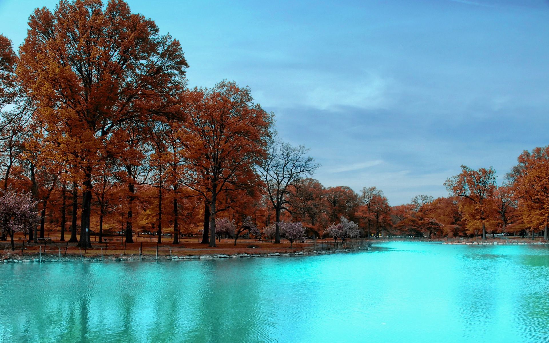 autumn, park, nature, trees, blue water Full HD