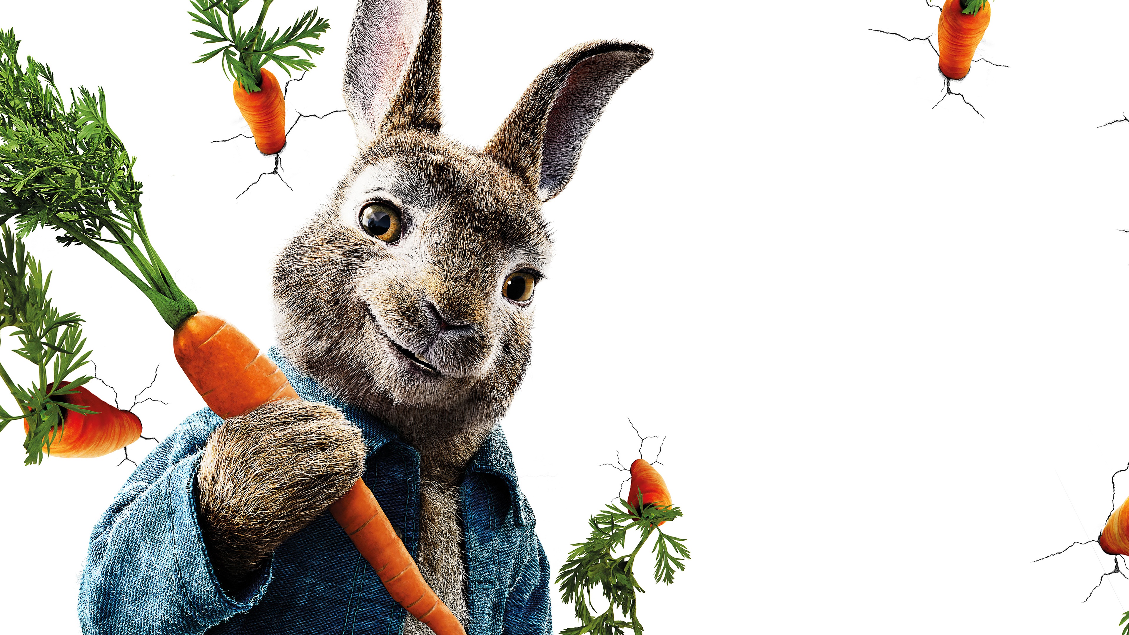 882241 завантажити шпалери фільм, кролик петрик, морква, кролик - заставки і картинки безкоштовно