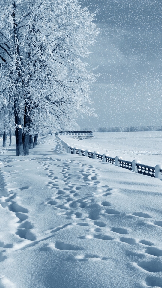 Скачать картинку Пейзаж, Зима, Снег, Дерево, След, Ландшафт, Фотографии, Снегопад в телефон бесплатно.