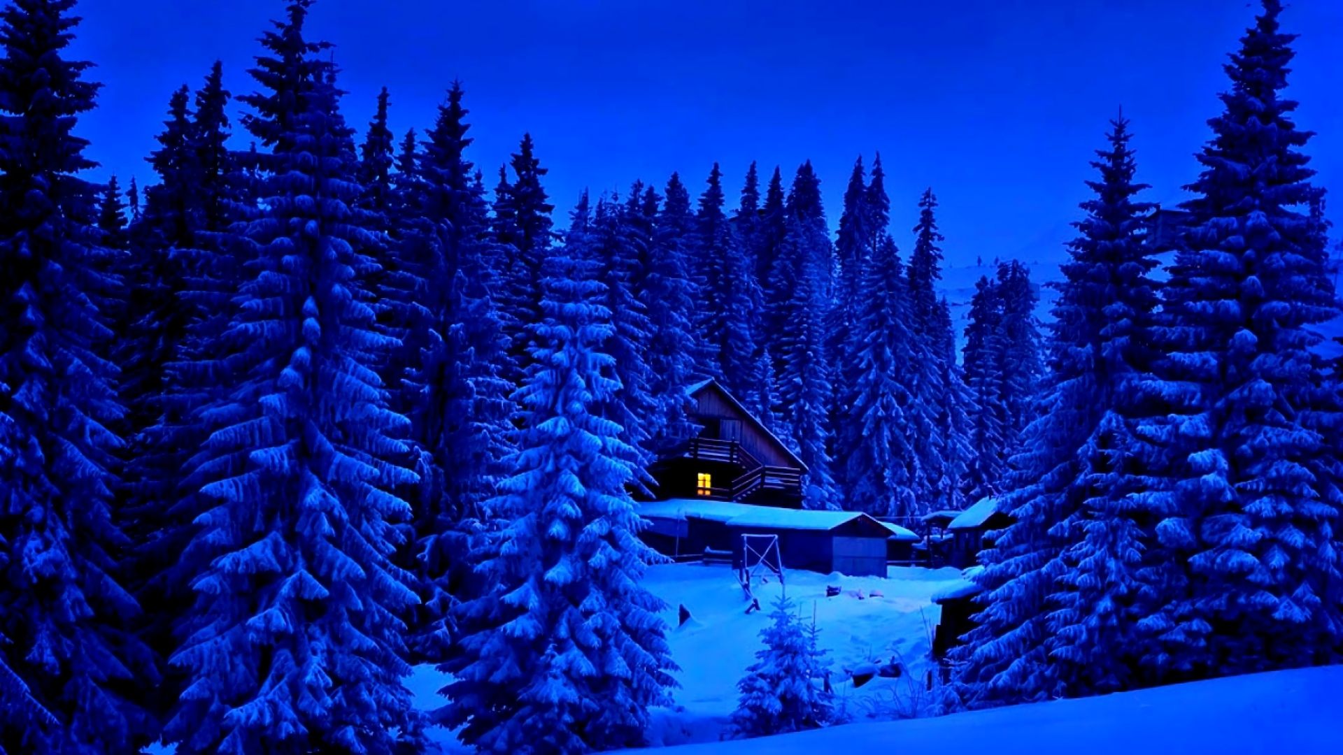 Скачать картинку Зима, Снег, Лес, Дерево, Синий, Дом, Фотографии в телефон бесплатно.