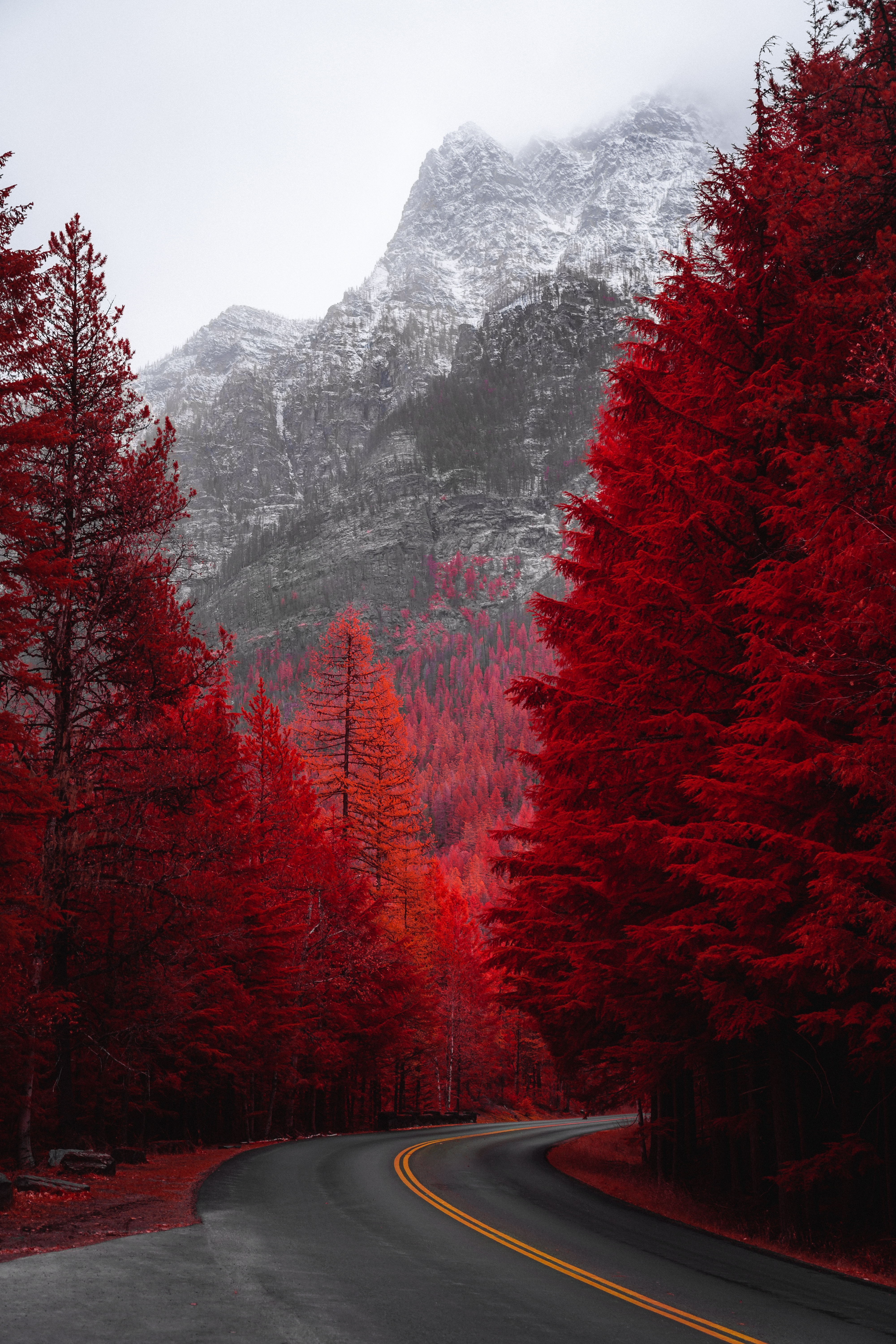 nature, mountain, trees, landscape, red, road, turn