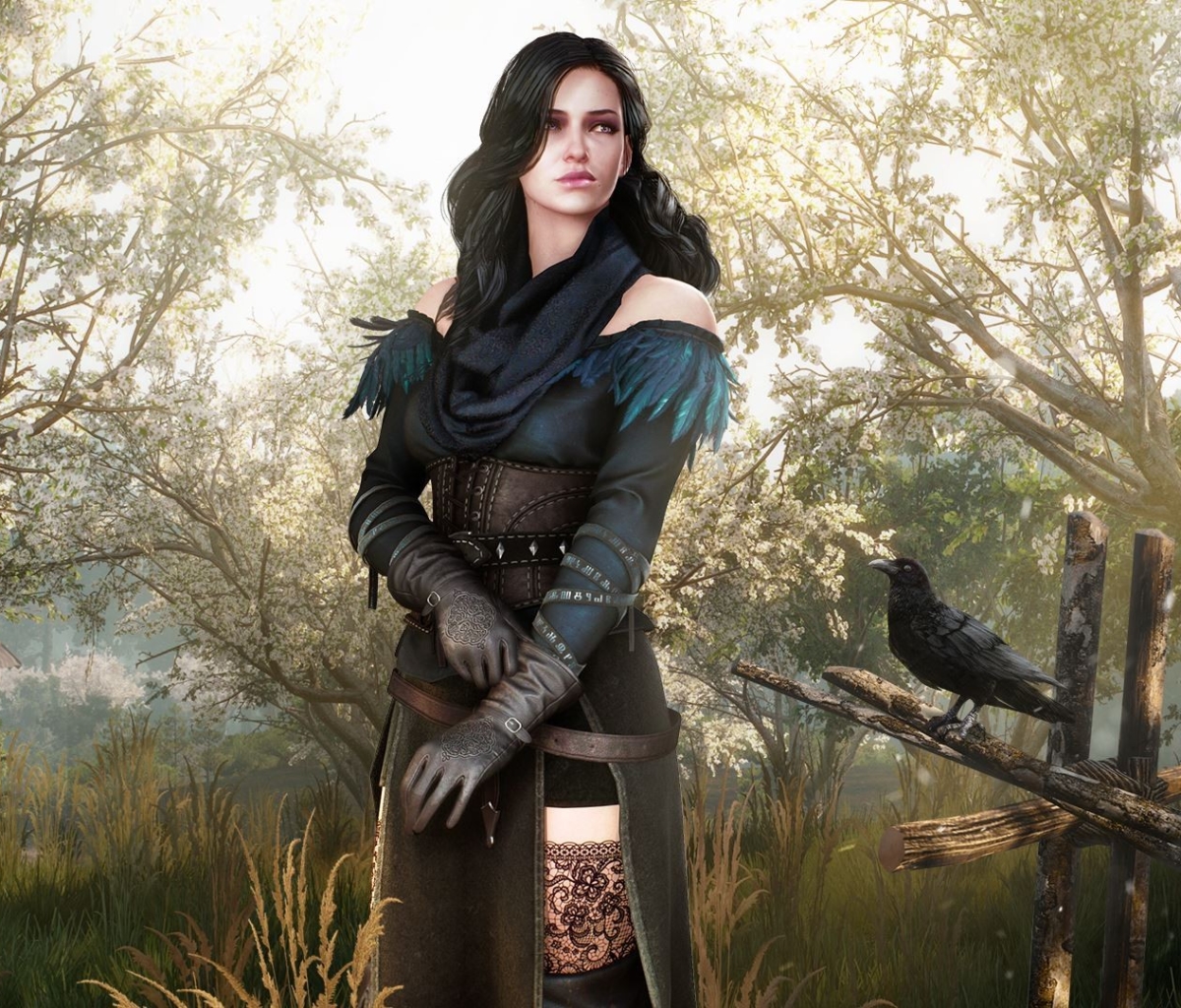 Baixar papel de parede para celular de Videogame, O Mago, Wiedzmin 3: Dziki Gon, Yennefer De Vengerberg gratuito.