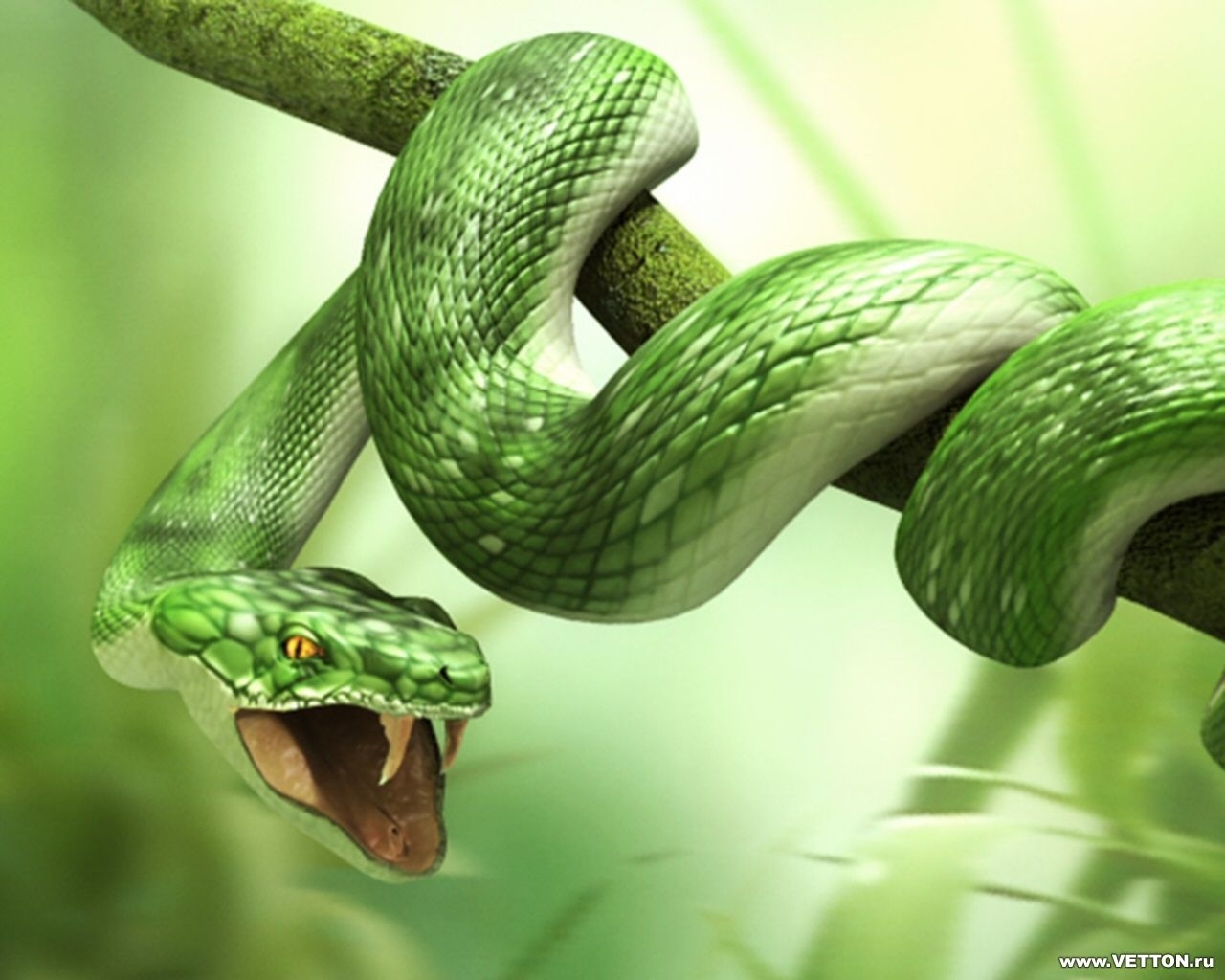 snakes, animals, art, green Full HD