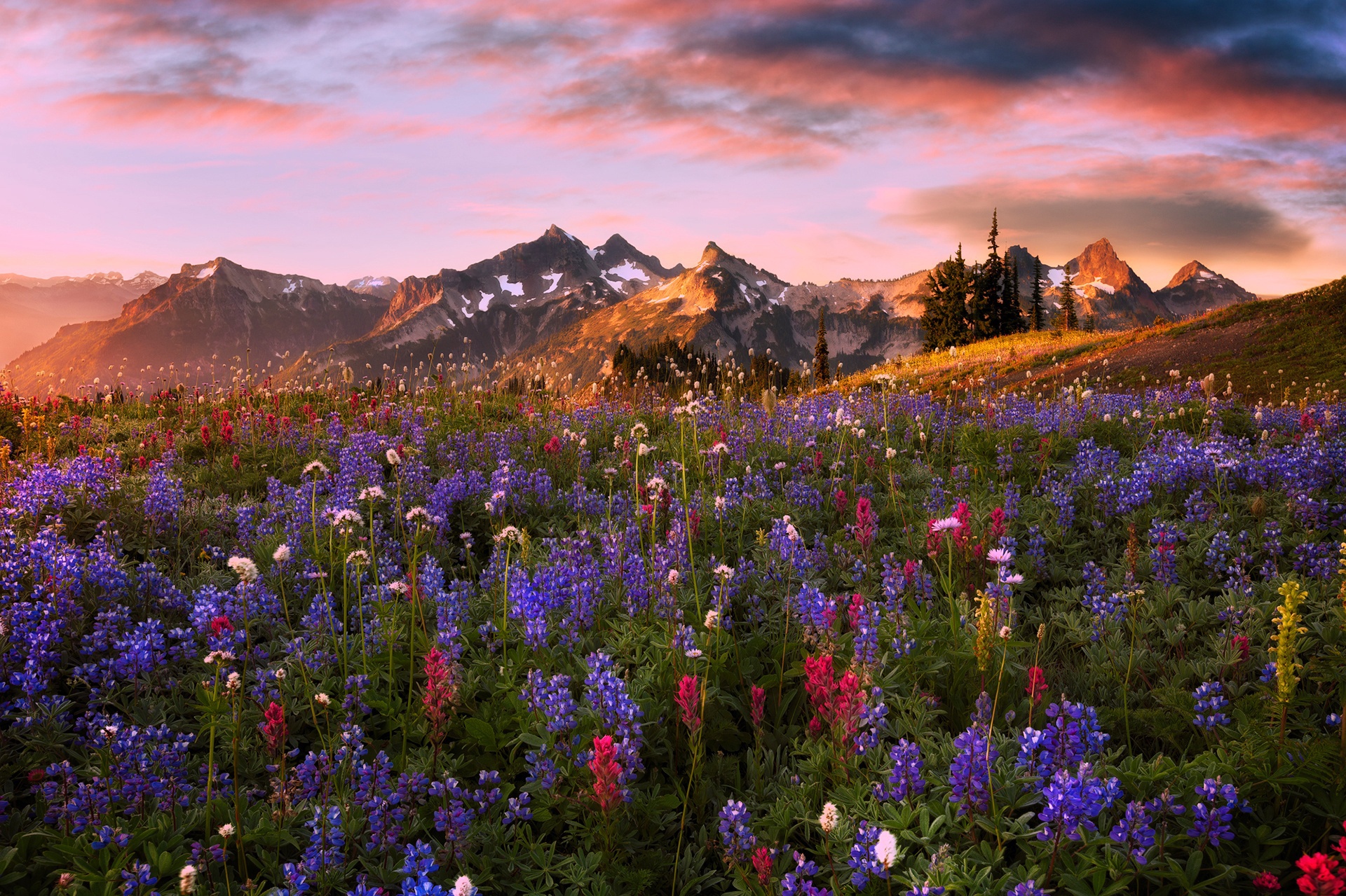 Free download wallpaper Landscape, Nature, Mountain, Flower, Earth on your PC desktop