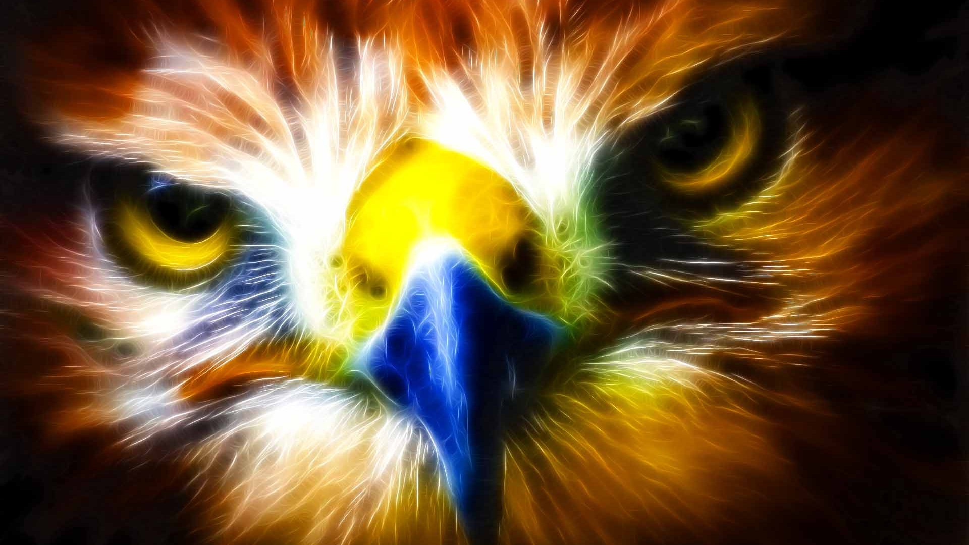 184904 descargar fondo de pantalla animales, águila, aves: protectores de pantalla e imágenes gratis
