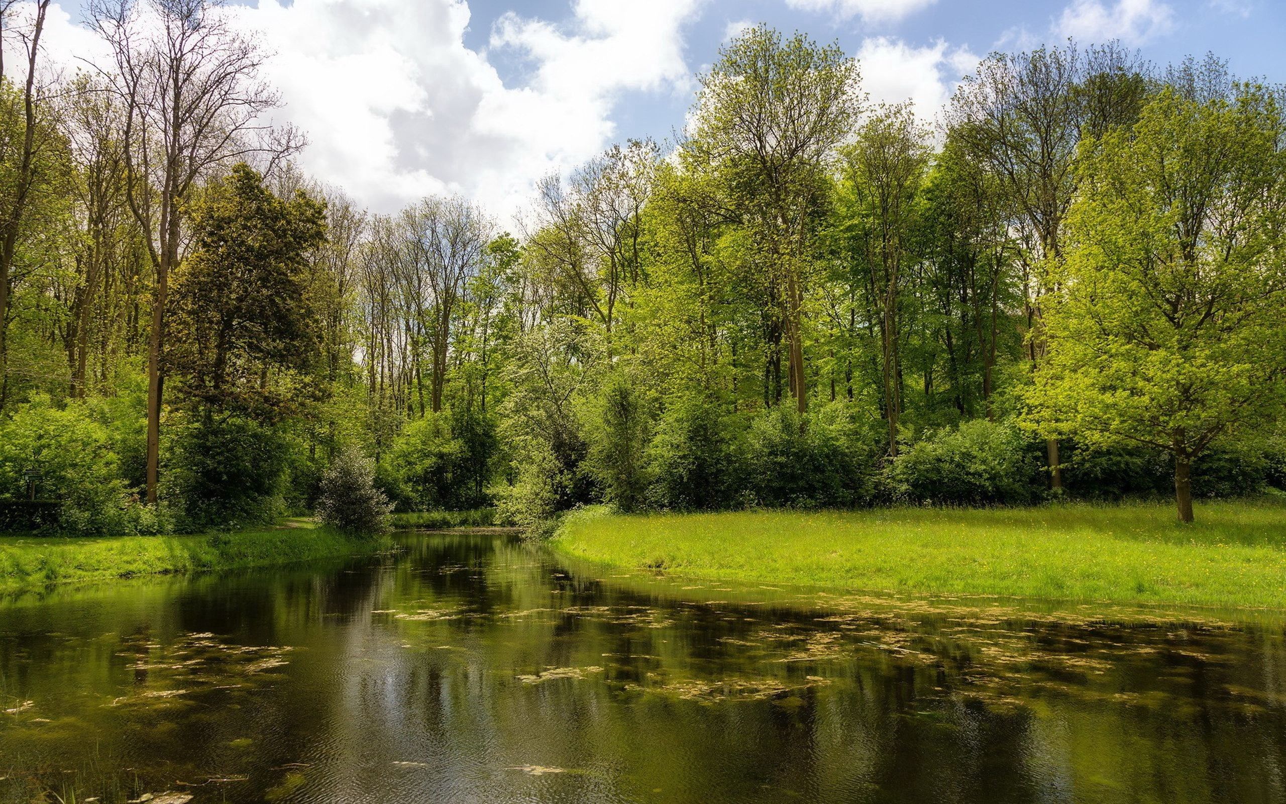 PCデスクトップに川, 草, 自然, 夏画像を無料でダウンロード