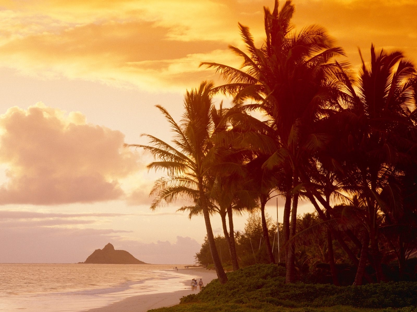 Free download wallpaper Landscape, Nature, Palms, Beach on your PC desktop