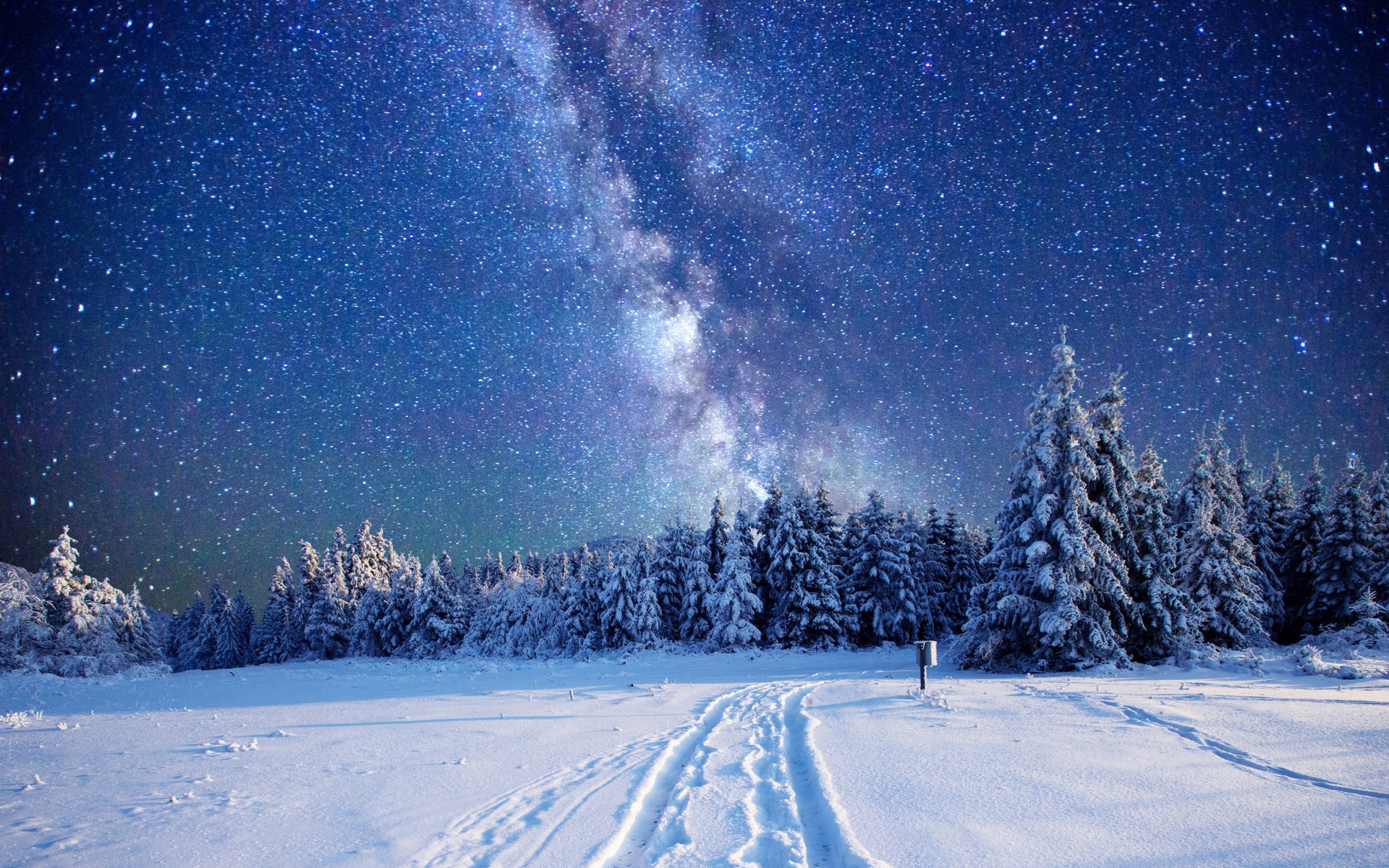 Скачати мобільні шпалери Зима, Небо, Ніч, Ліс, Зоряне Небо, Земля, Чумацький Шлях безкоштовно.
