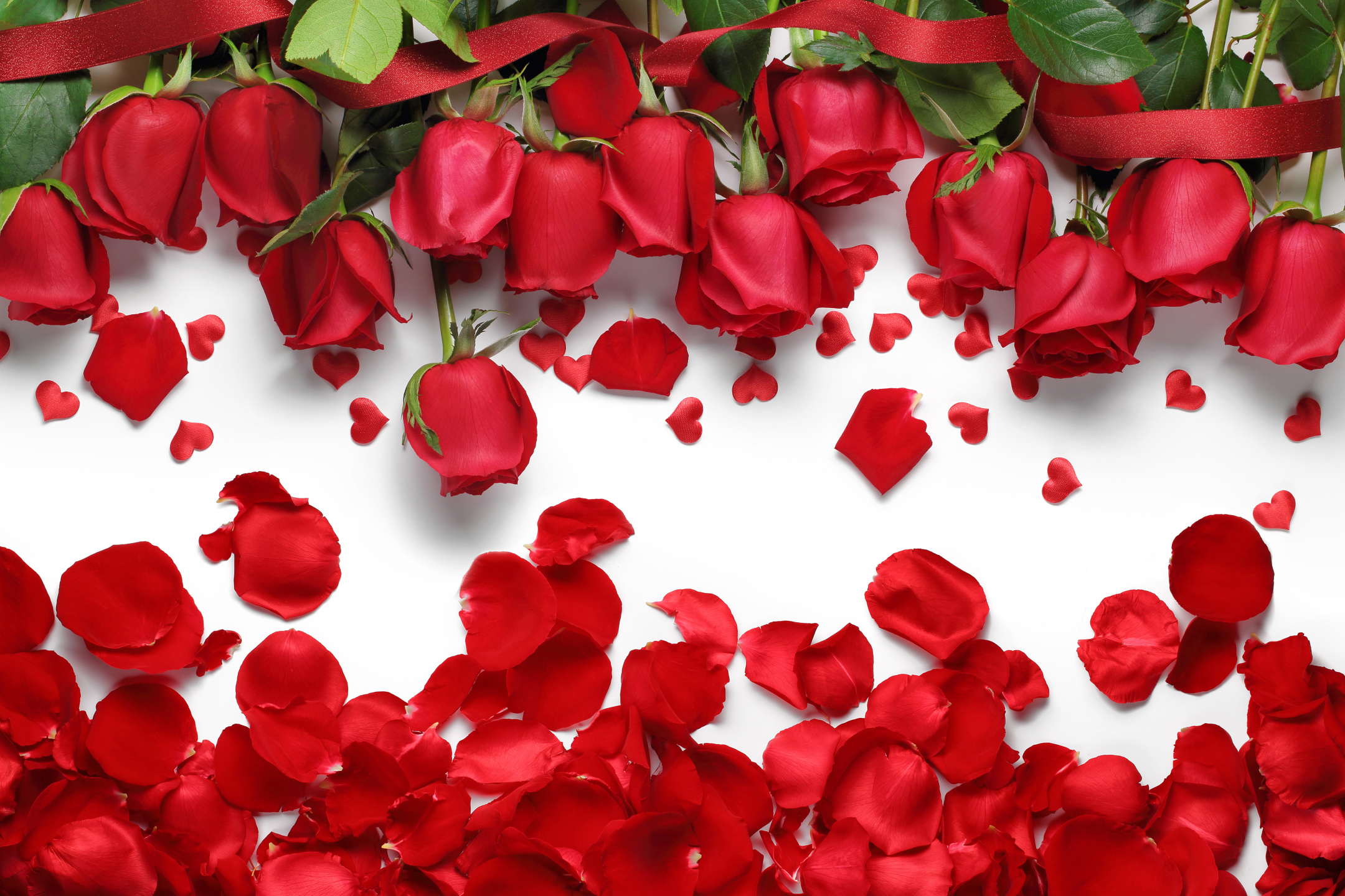 Free download wallpaper Flowers, Flower, Rose, Earth, Petal, Red Rose, Red Flower on your PC desktop