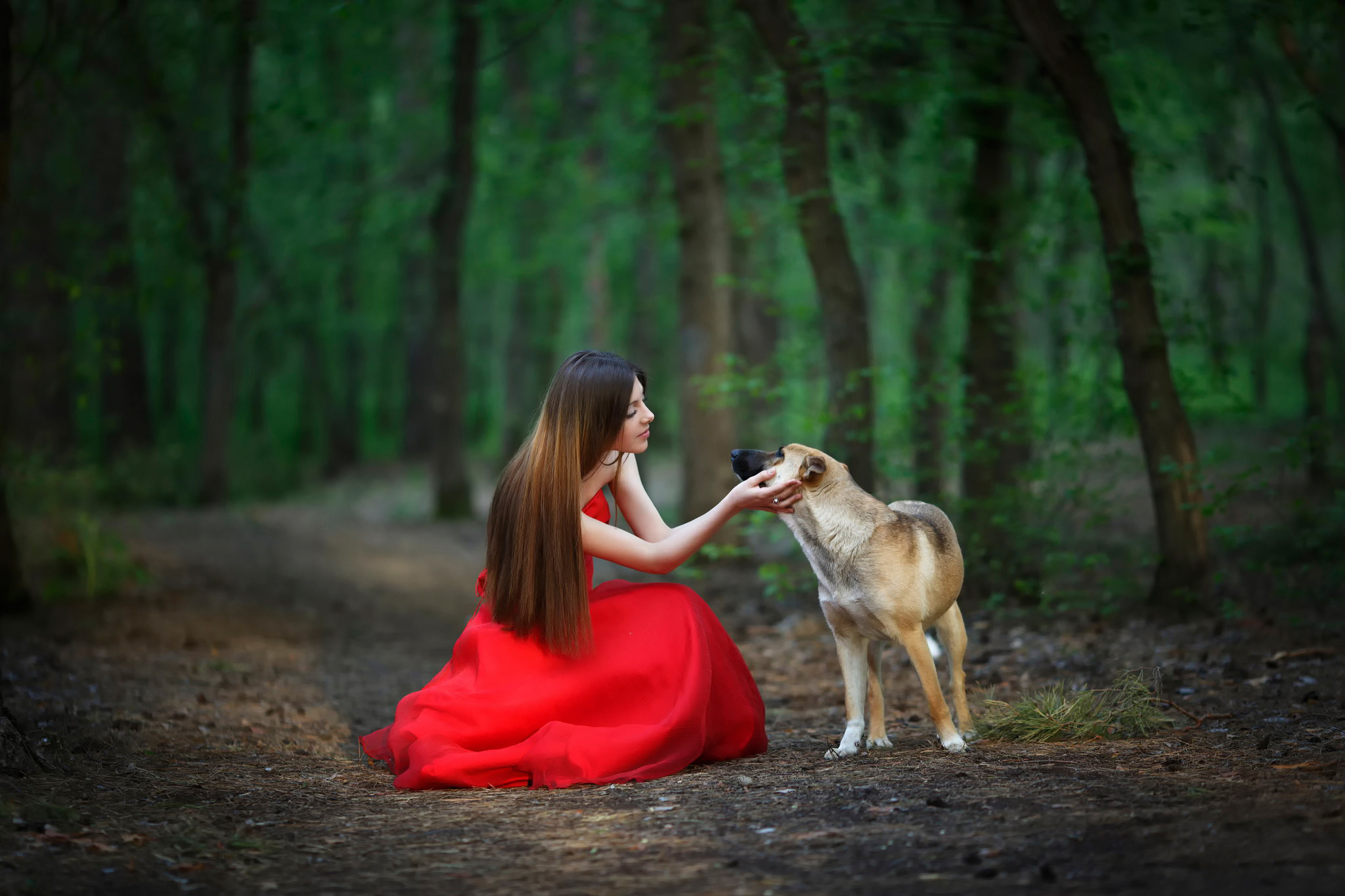 Handy-Wallpaper Hund, Modell, Frauen, Rotes Kleid kostenlos herunterladen.