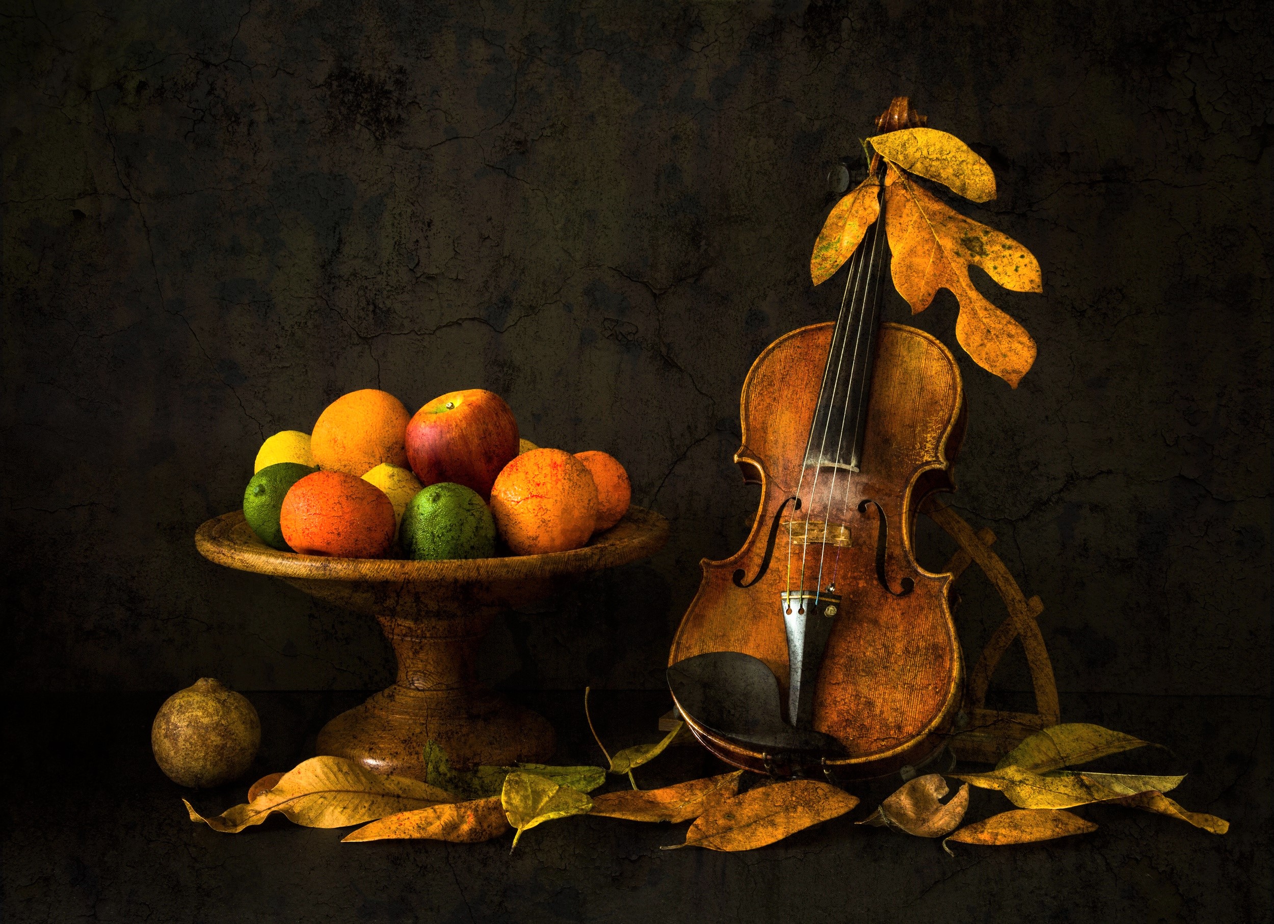 photography, still life, bowl, fall, fruit, leaf, violin