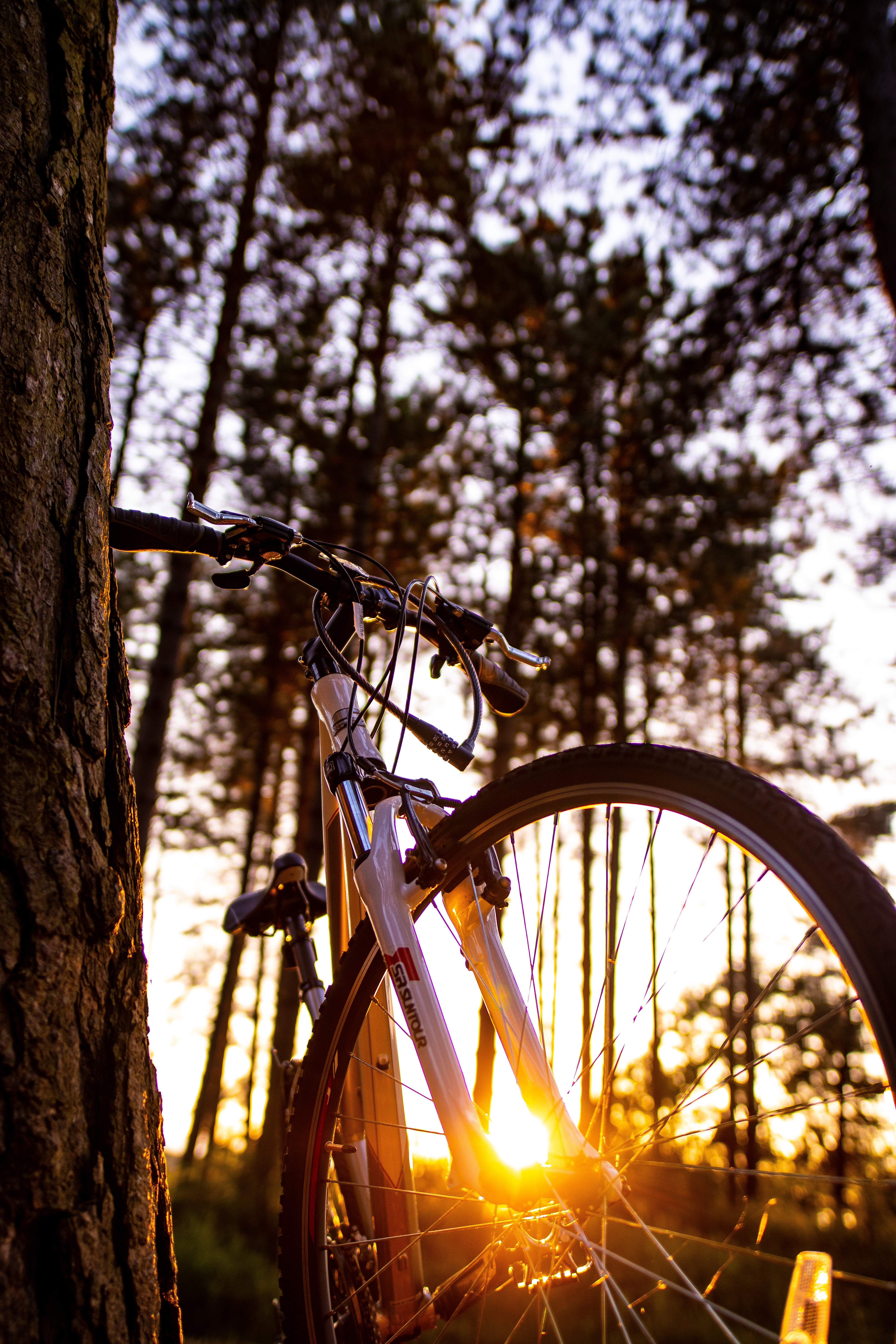 Baixe gratuitamente a imagem Bicicleta, Luz Solar, Miscelânea, Verão, Variado na área de trabalho do seu PC
