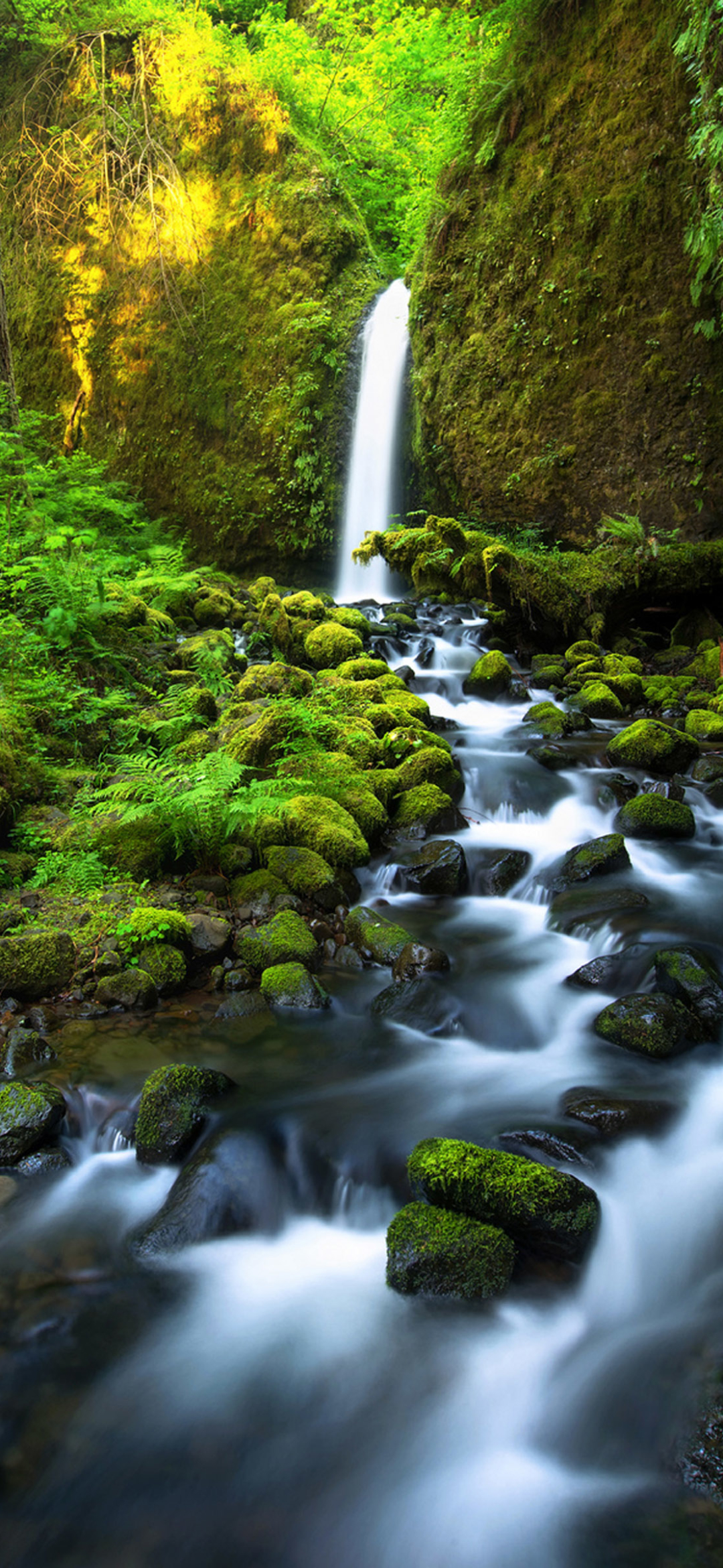 Handy-Wallpaper Wasserfälle, Wasserfall, Wald, Baum, Moos, Erde/natur kostenlos herunterladen.