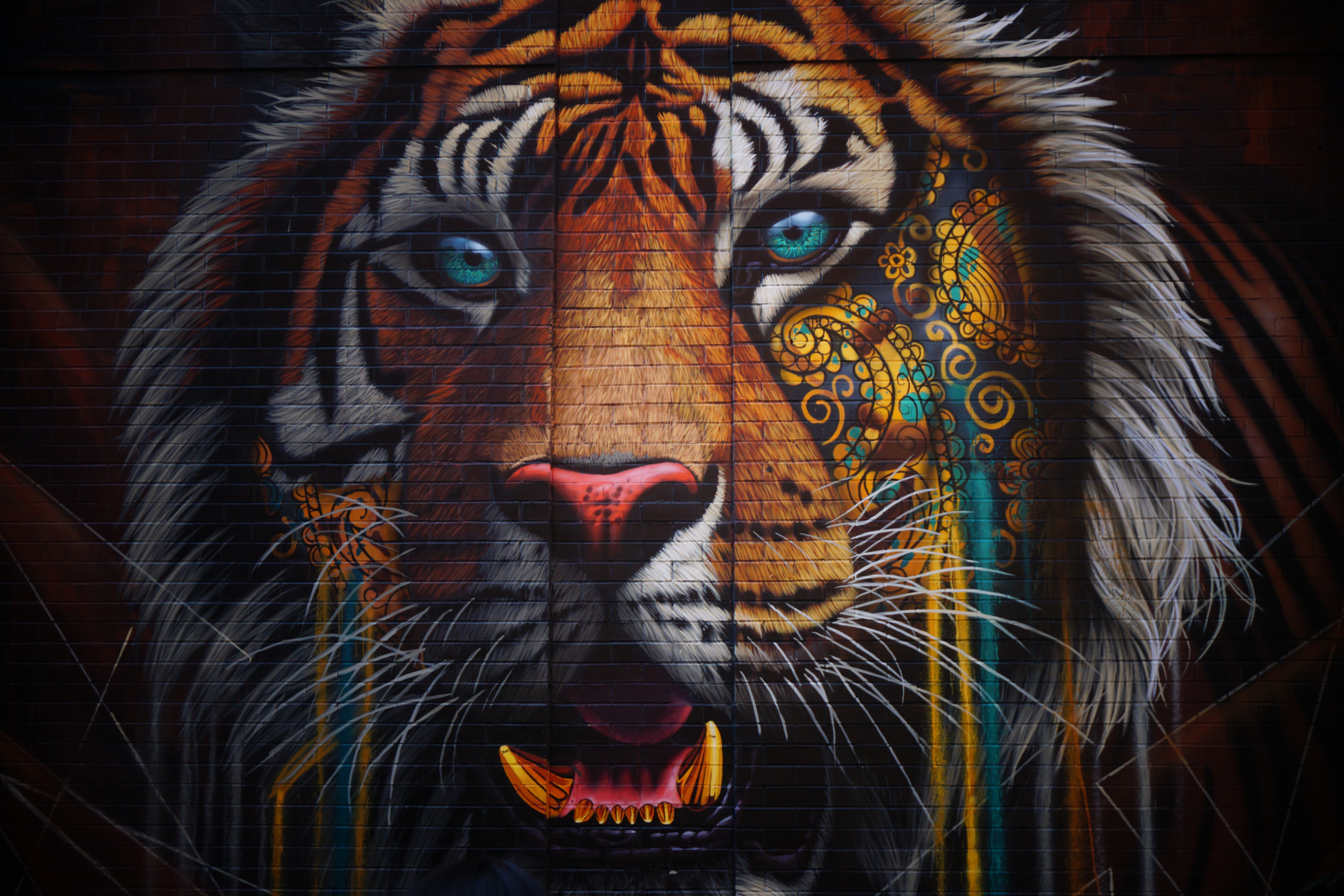130475 скачать картинку граффити, тигр, стена, разноцветный, животные, стрит арт - обои и заставки бесплатно