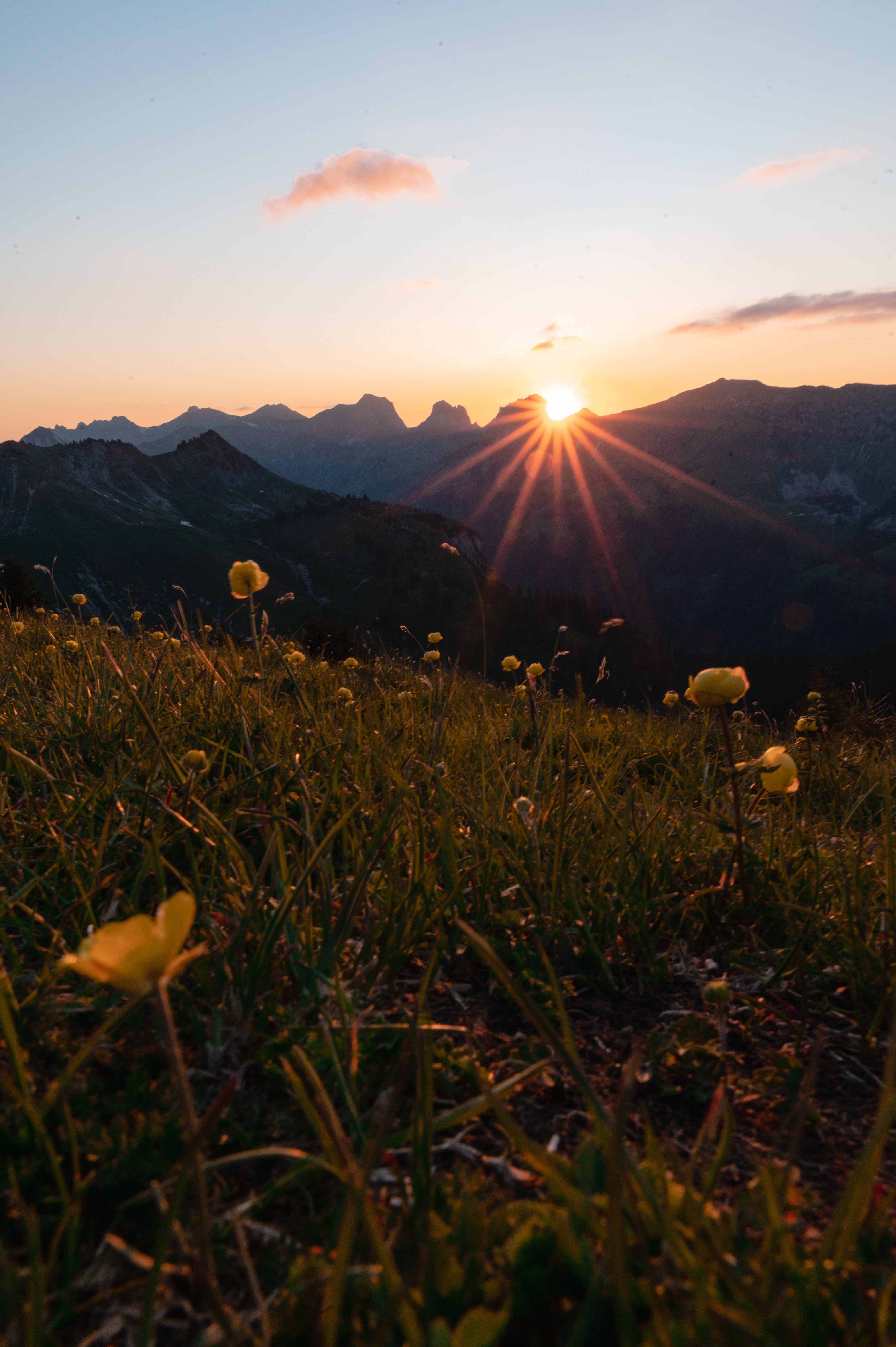 Free download wallpaper Nature, Flowers, Mountains, Sun, Beams, Rays on your PC desktop