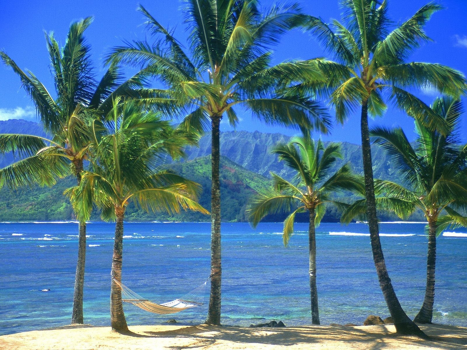 86255 скачать картинку море, пальмы, пляж, природа, берег, гамак - обои и заставки бесплатно