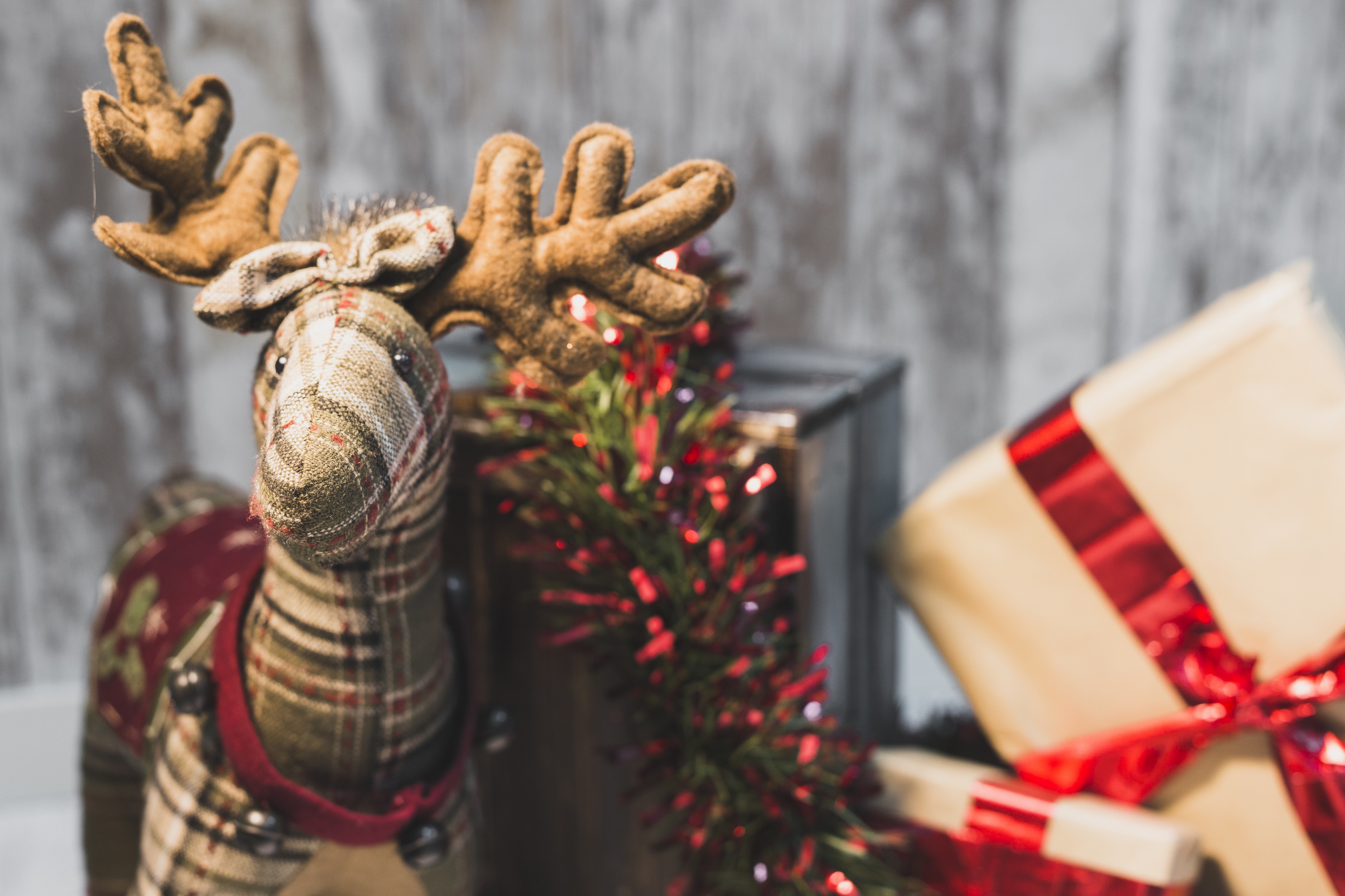 Téléchargez des papiers peints mobile Noël, Vacances, Peluche, Cadeau, Décoration, Renne gratuitement.