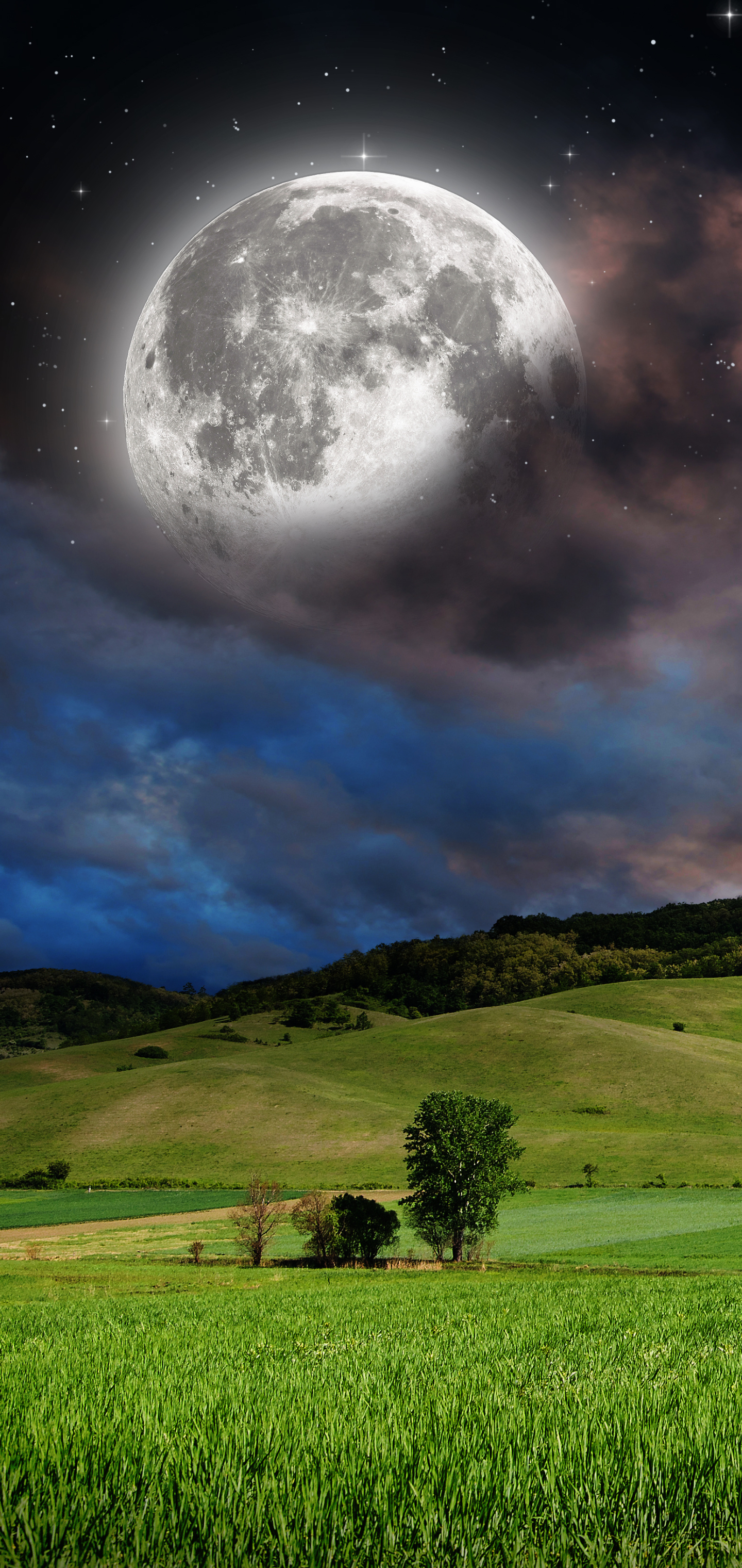 Download mobile wallpaper Sky, Moon, Starry Sky, Earth, Field, Meadow for free.