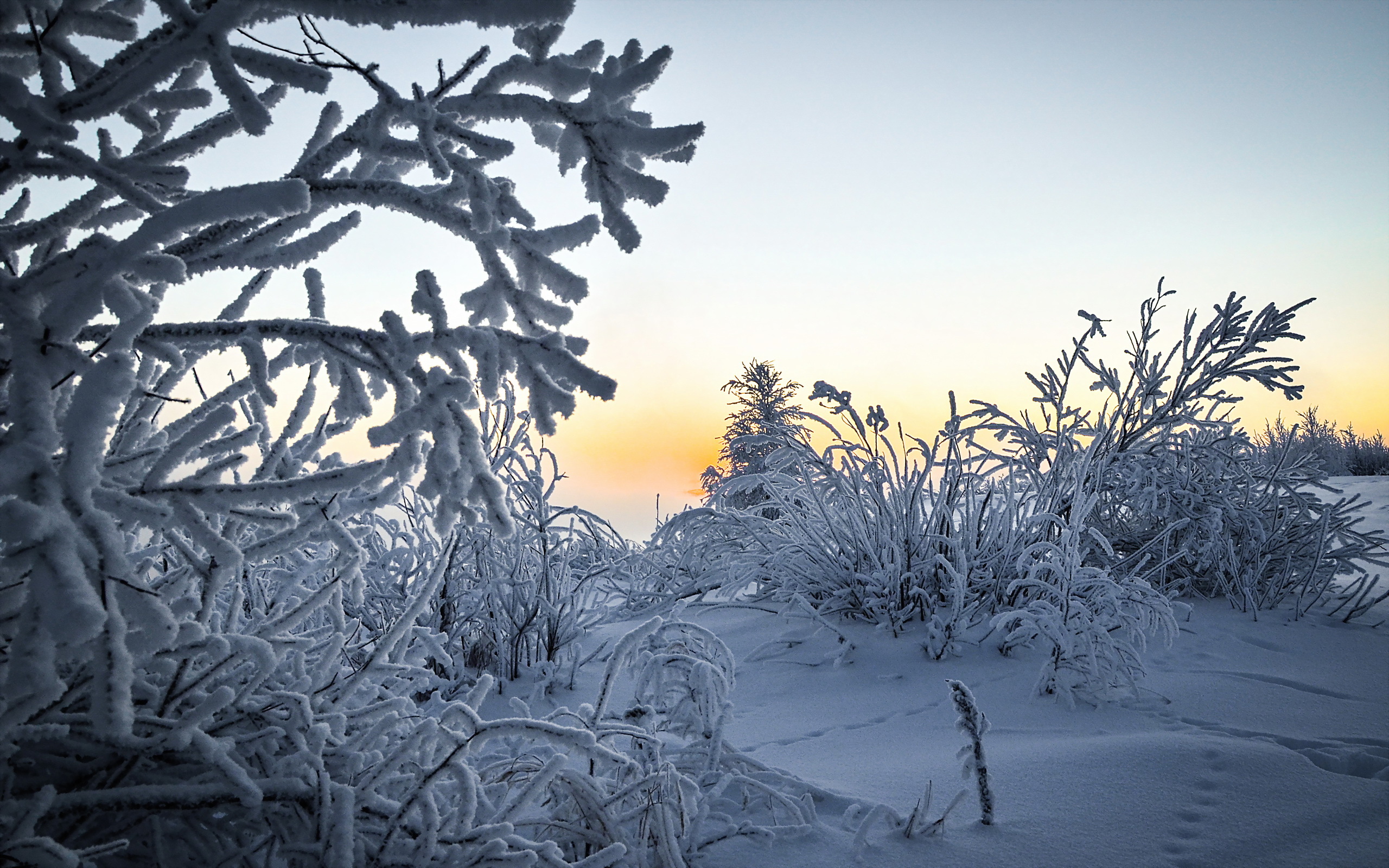 Téléchargez gratuitement l'image Hiver, Terre/nature sur le bureau de votre PC