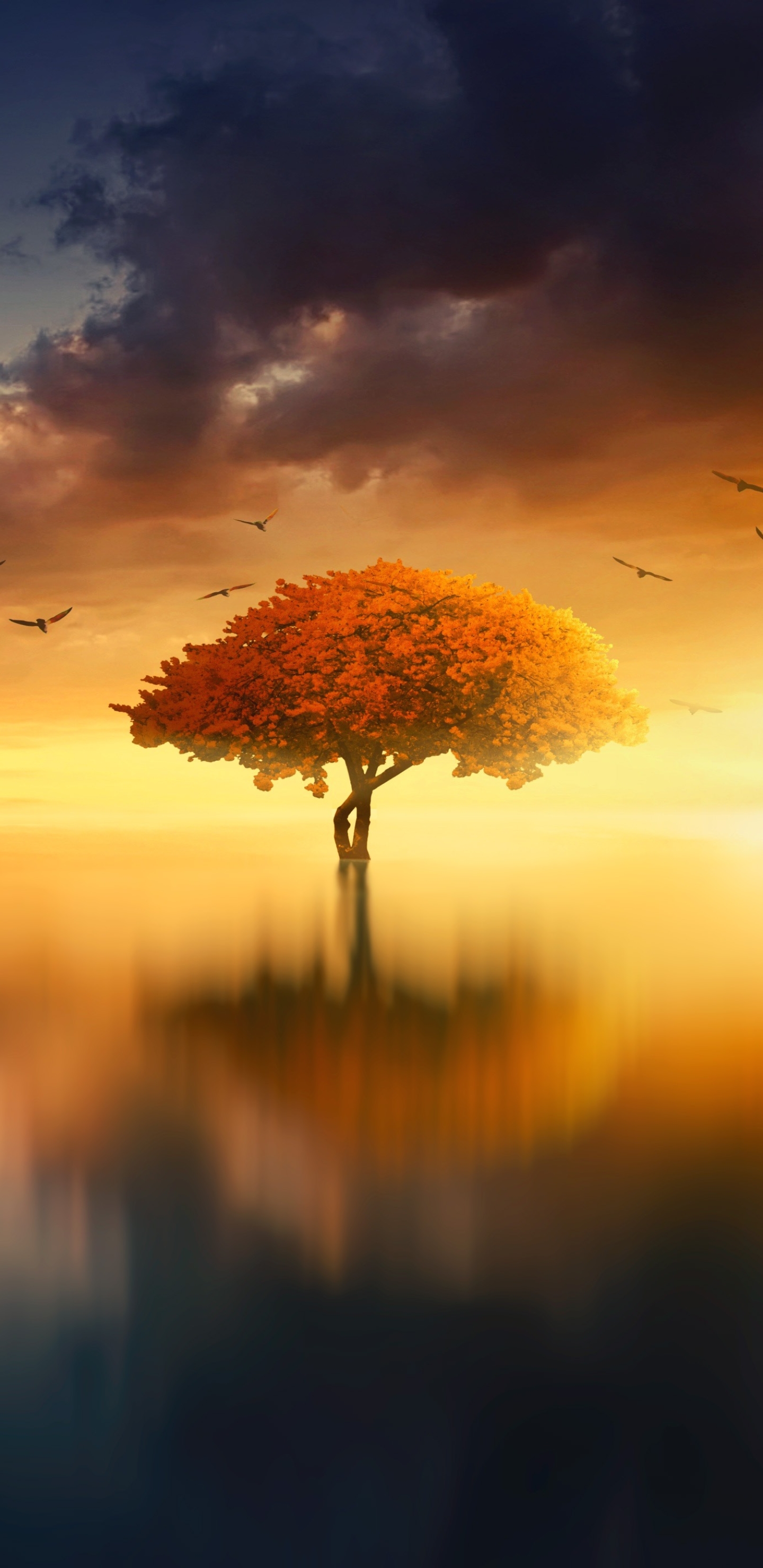 Free download wallpaper Nature, Trees, Sunset, Lake, Tree, Earth on your PC desktop