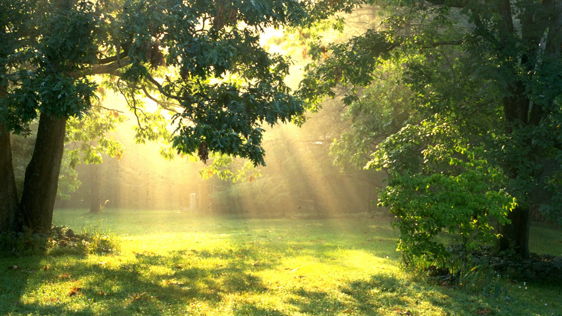Laden Sie das Sonnenstrahl, Erde/natur-Bild kostenlos auf Ihren PC-Desktop herunter