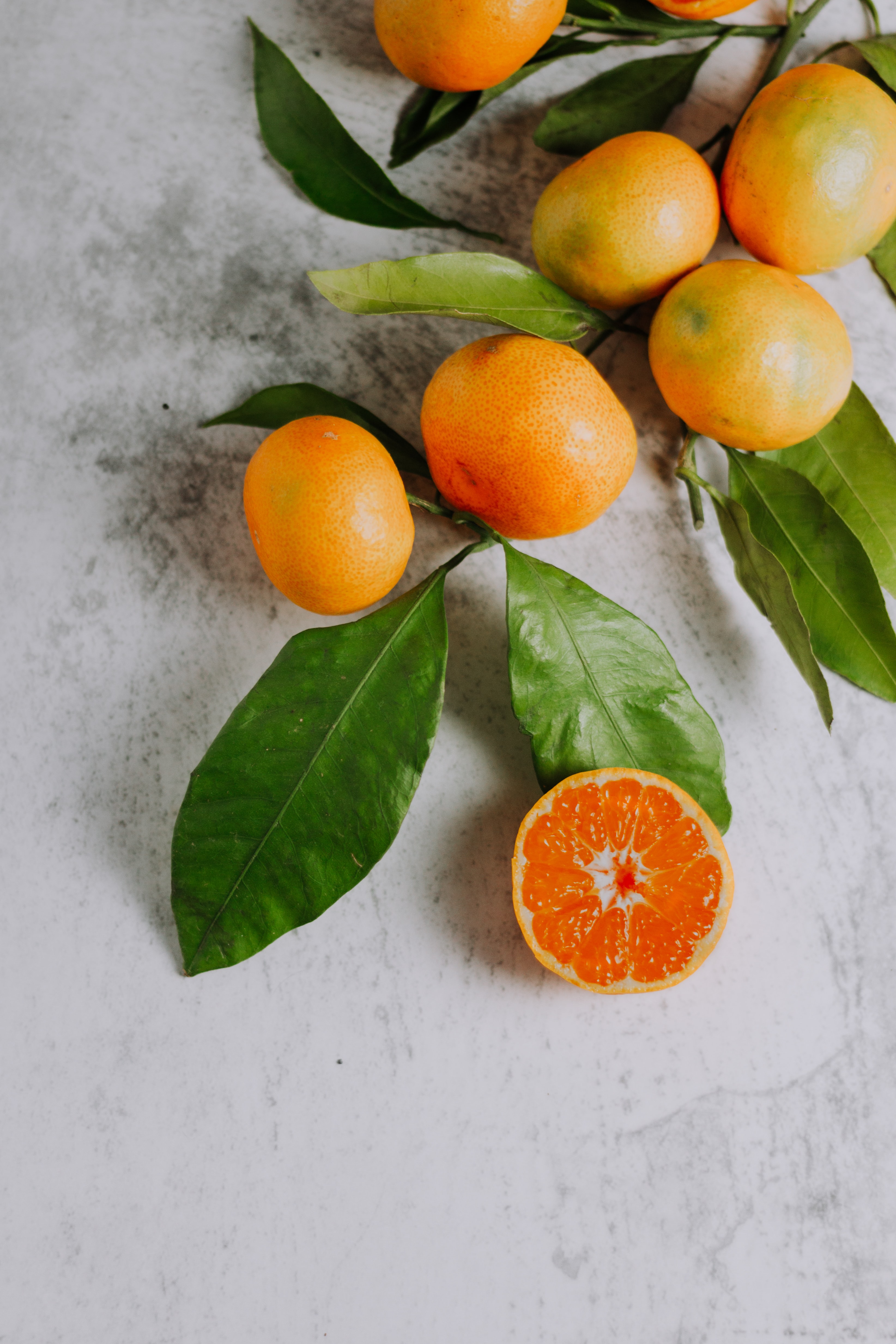 Download mobile wallpaper Tangerines, Food, Citrus, Branch, Fruits for free.