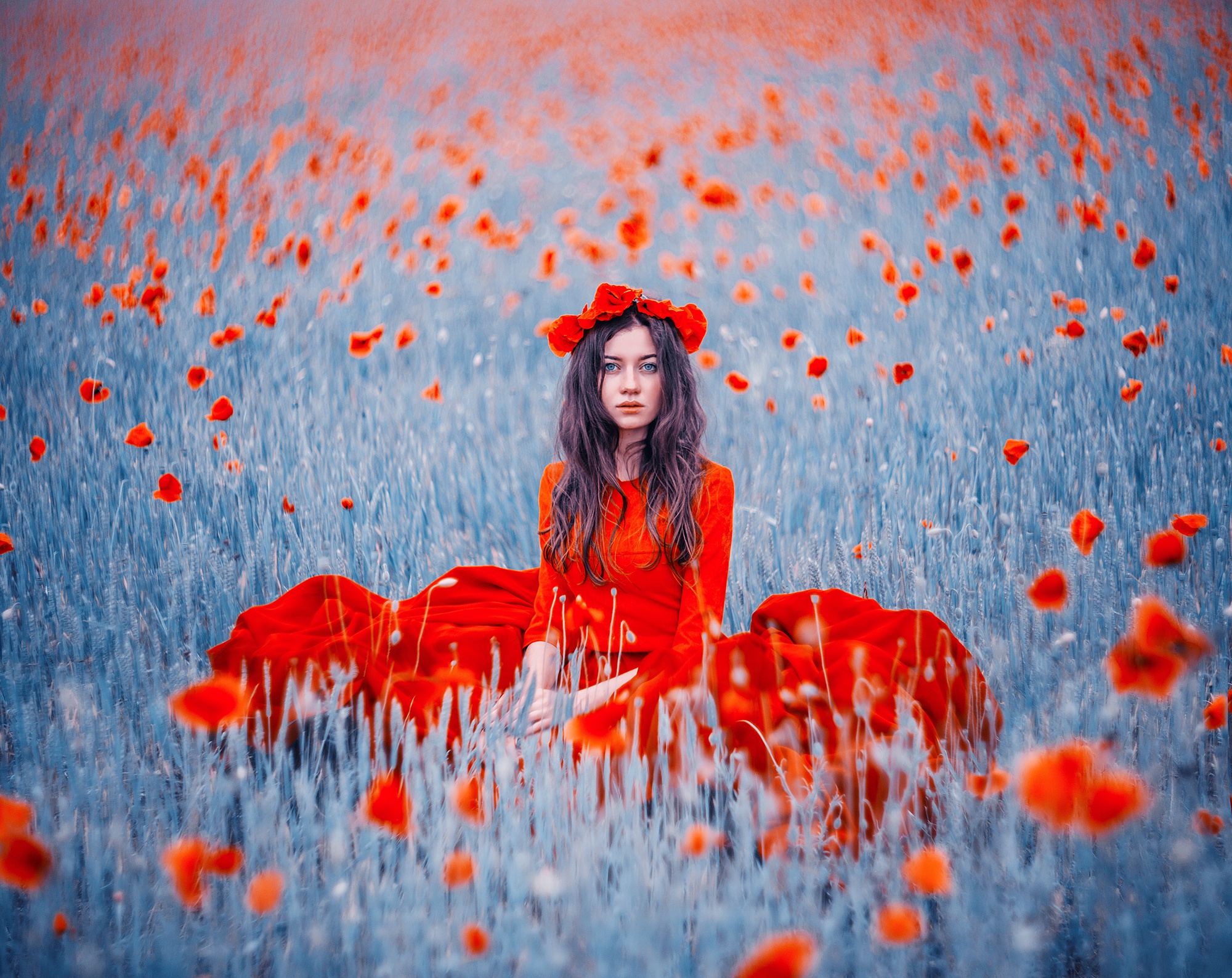 Free download wallpaper Flower, Poppy, Brunette, Model, Women, Blue Eyes, Red Flower, Long Hair, Red Dress on your PC desktop