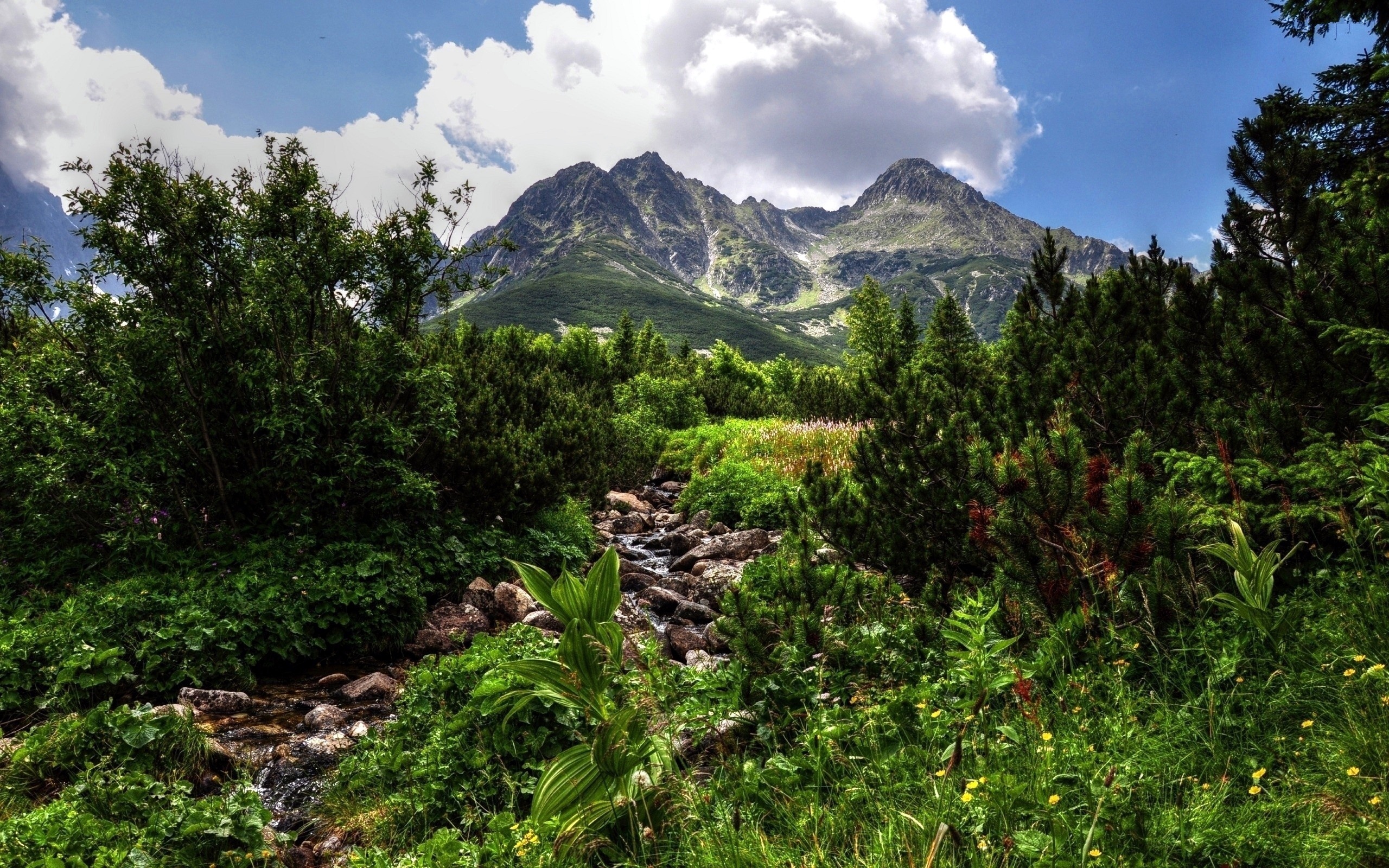 Laden Sie das Landschaft, Erde/natur-Bild kostenlos auf Ihren PC-Desktop herunter