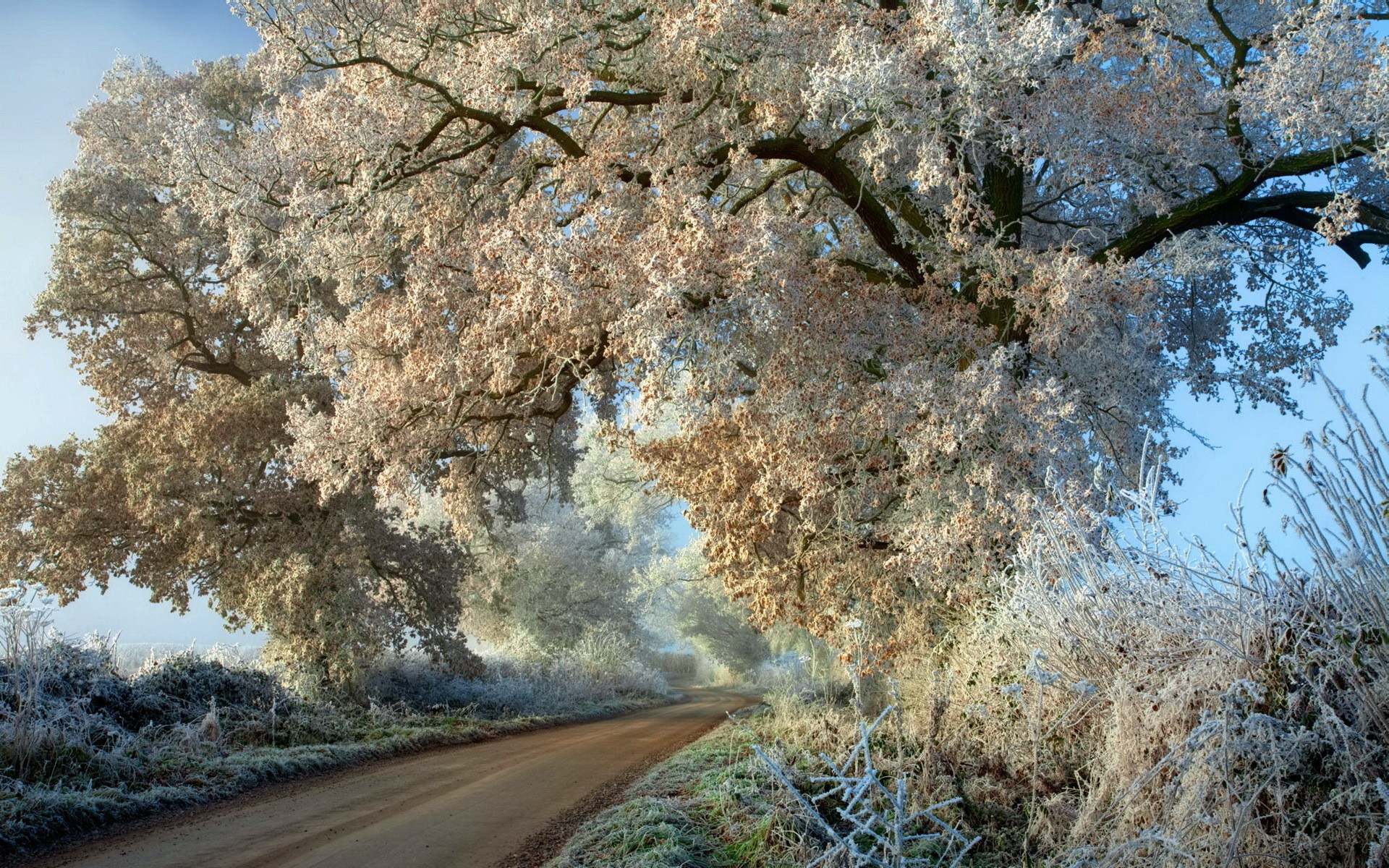 PCデスクトップに風景, 木, 雪, 自然画像を無料でダウンロード