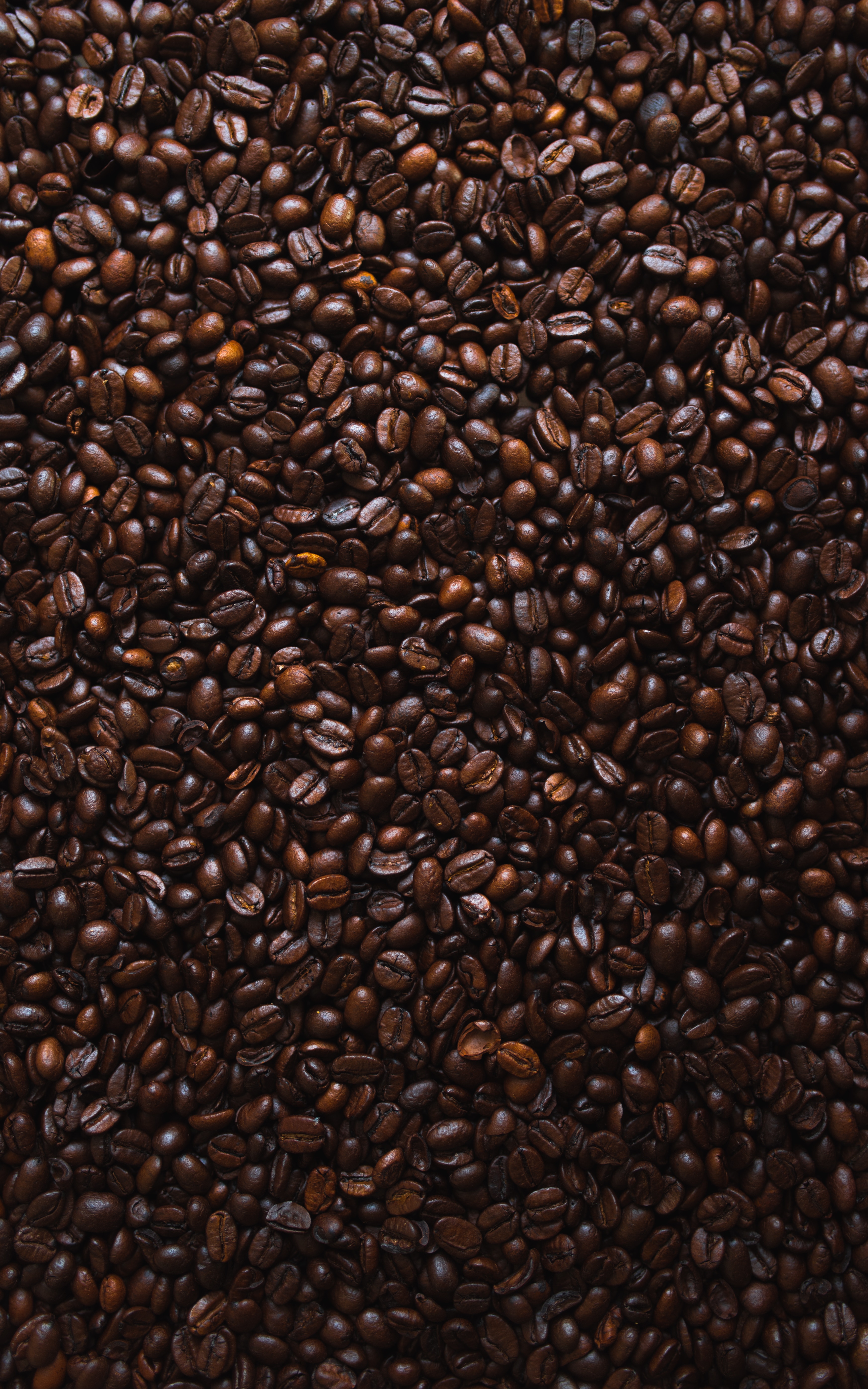 coffee, food, texture, grains, coffee beans, grain, fried, roasted HD wallpaper