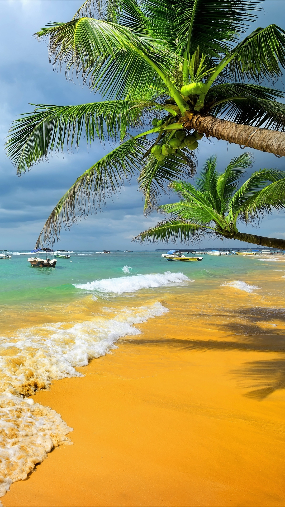 Download mobile wallpaper Sea, Beach, Horizon, Ocean, Earth, Boat, Tropical, Palm Tree for free.